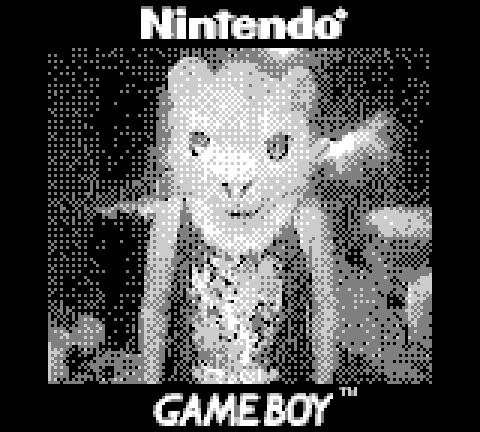 This picture is taken by a gameboy camera, it shows a very pixellated Tarth in black and white standing ominously.