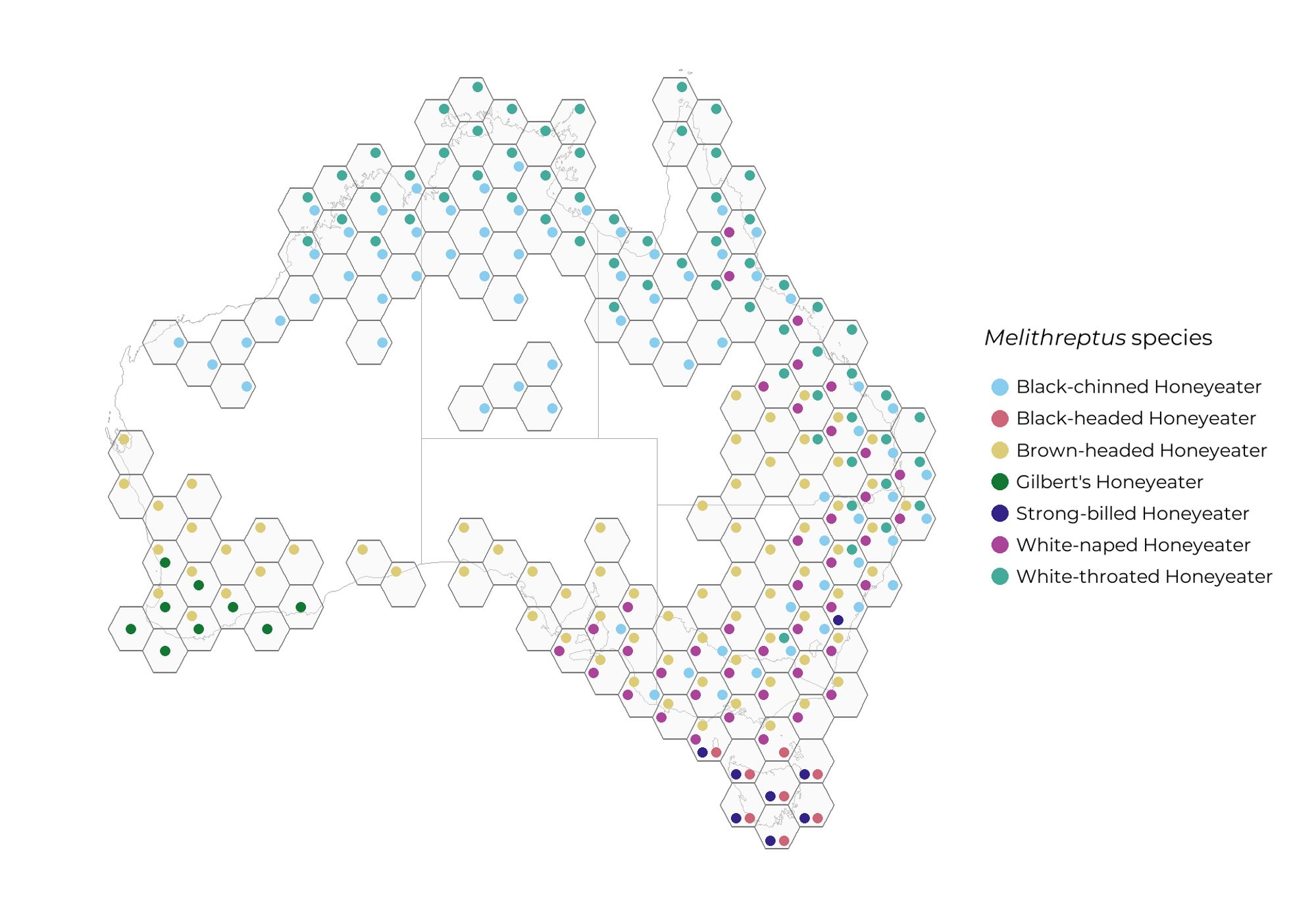 A hex-point map, showing the distribution of 7 Honeyeater species across Australia, a genus found across most of mainland Australia. The hexagons show the overall distribution of all 7 species, and within each hexagon, each point represents whether each species is found in the area of the hexagon.