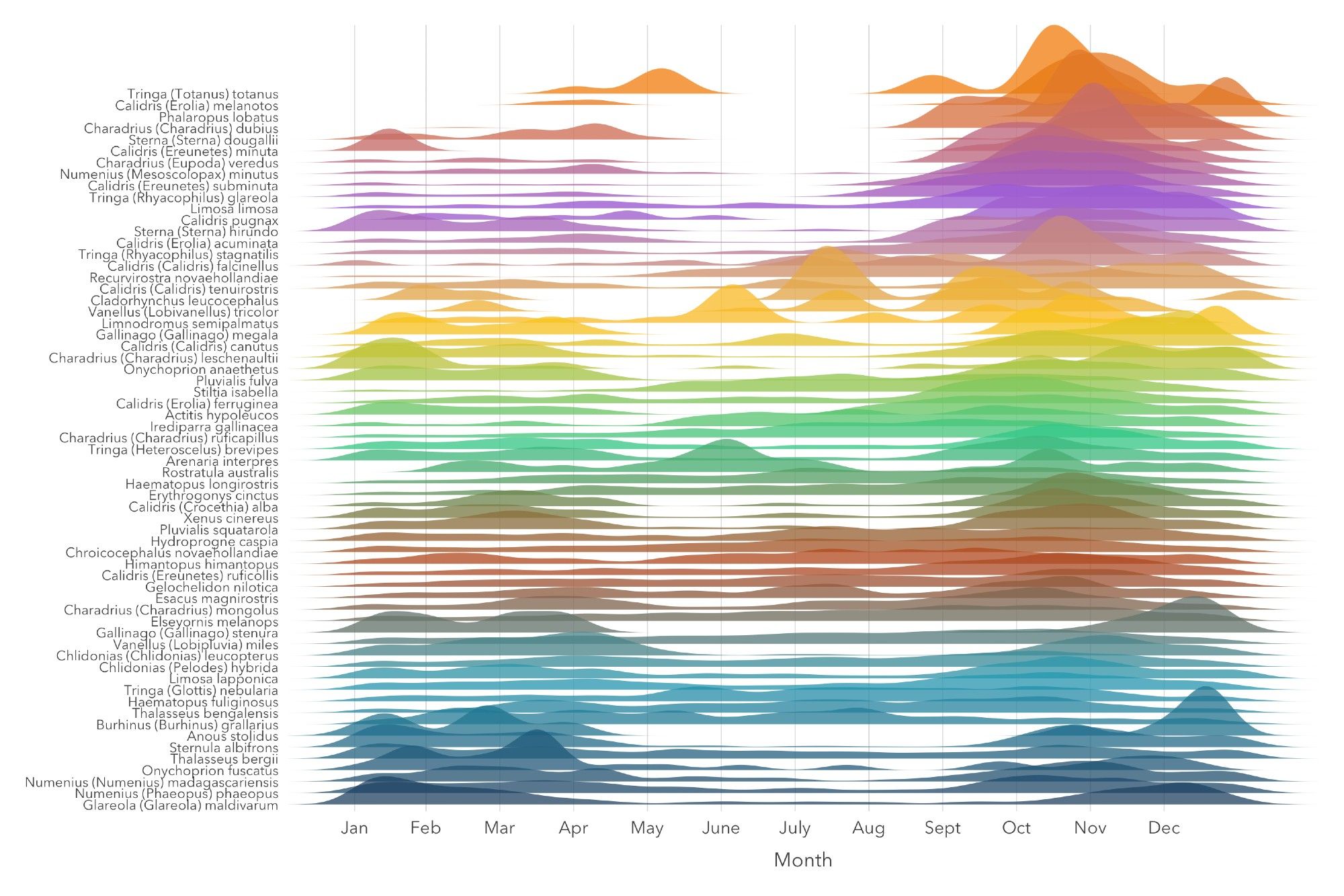 A ridgeline plot showing the seasonality of observation of shorebirds in the Norther Territory, Australia. Many of these bird species migrate, and are seen most often in spring and summer, but not at all over winter.