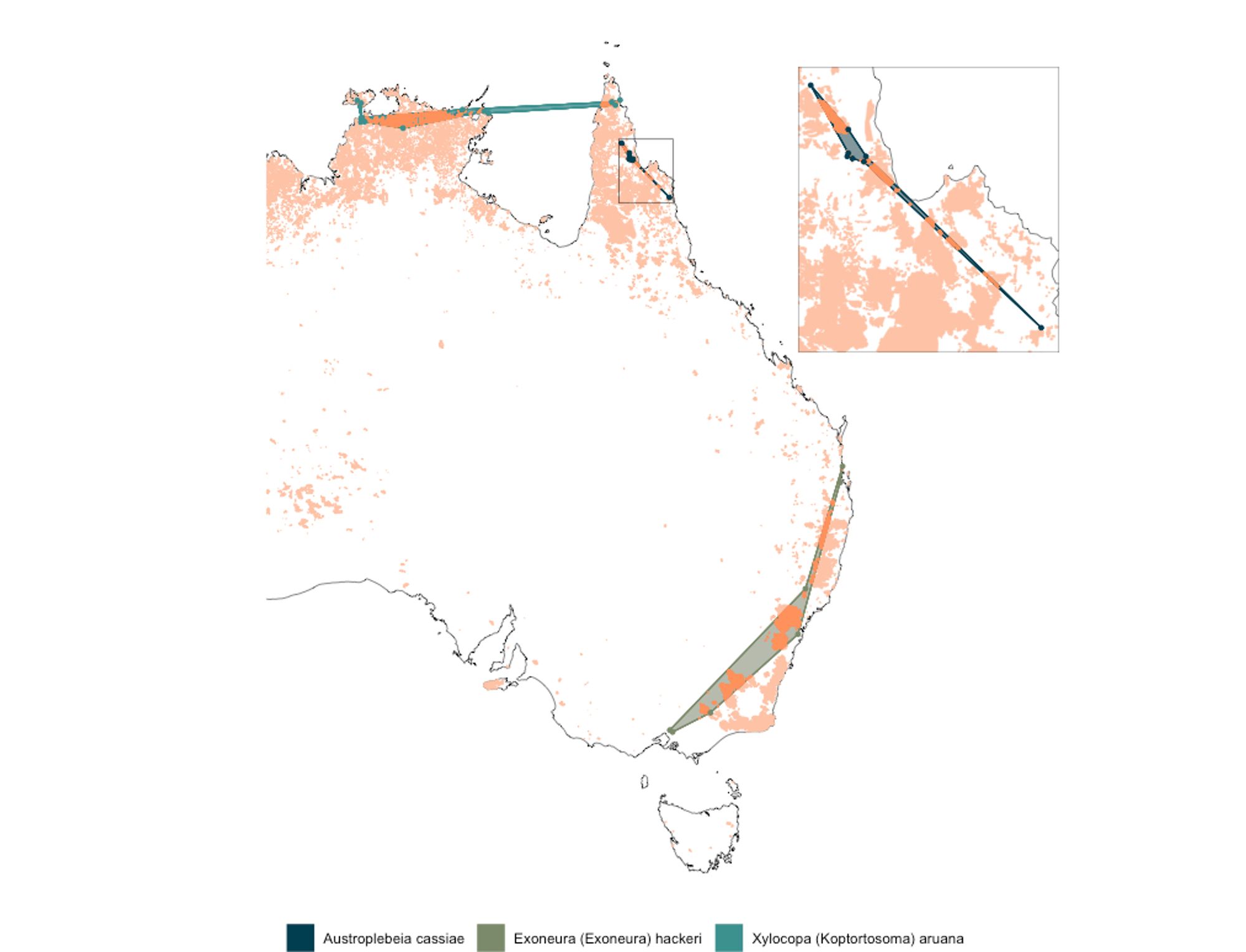 A map of Australia displaying the distribution of 3 bee species and the overlap of those distributions with historical fire. Bee species distributions are wide ranging due to the scarcity of observations, but important indicators of ecosystem health