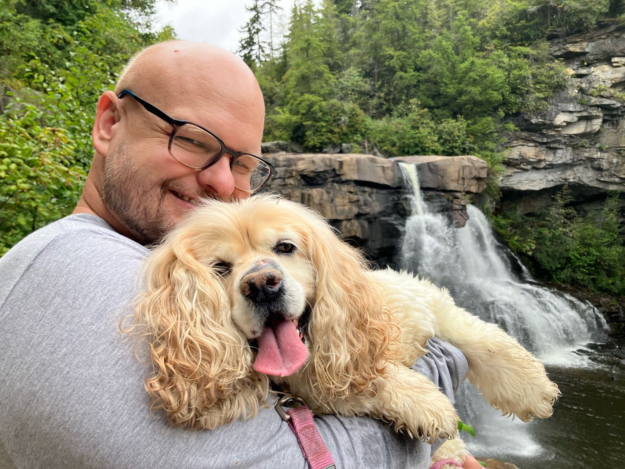 Mari the Cocker Spaniel and her human Matt at Black Water Falls, West Virginia