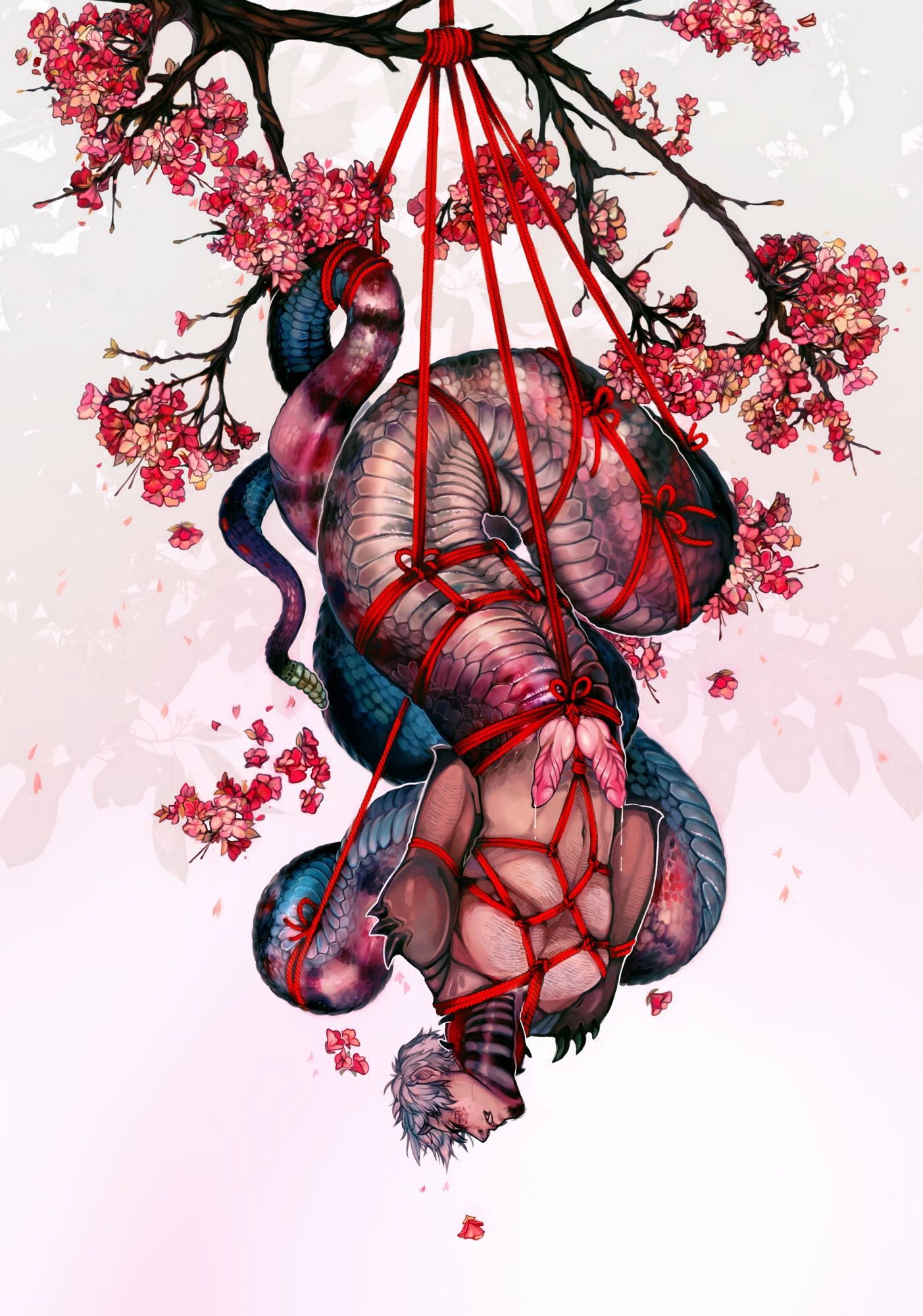 kodi, a naga, is tied with red shibari ropes around the length of his body; his hemipenes are delicately tied as well.