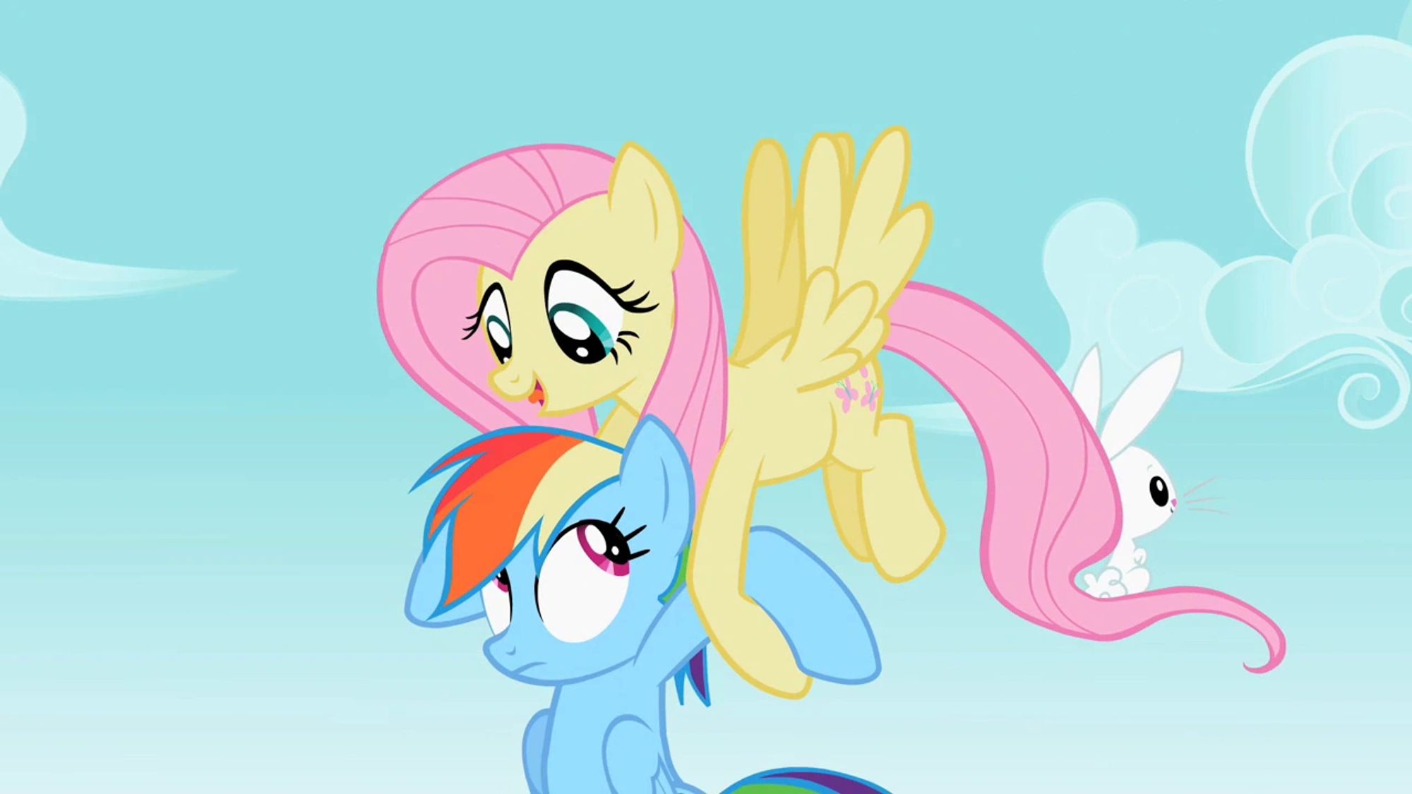 Fluttershy and Rainbow Dash from MLP: Friendship is Magic