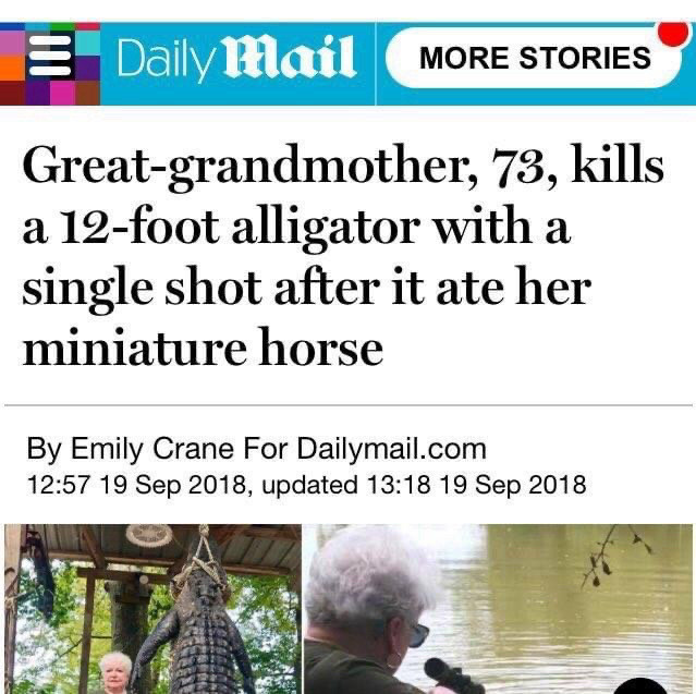 Daily Mail headline: Great-grandmother, 73, kills a 12-foot alligator with a single shot after it ate her miniature horse. Plus pictures of her brandishing a weapon and posing next to a dead alligator