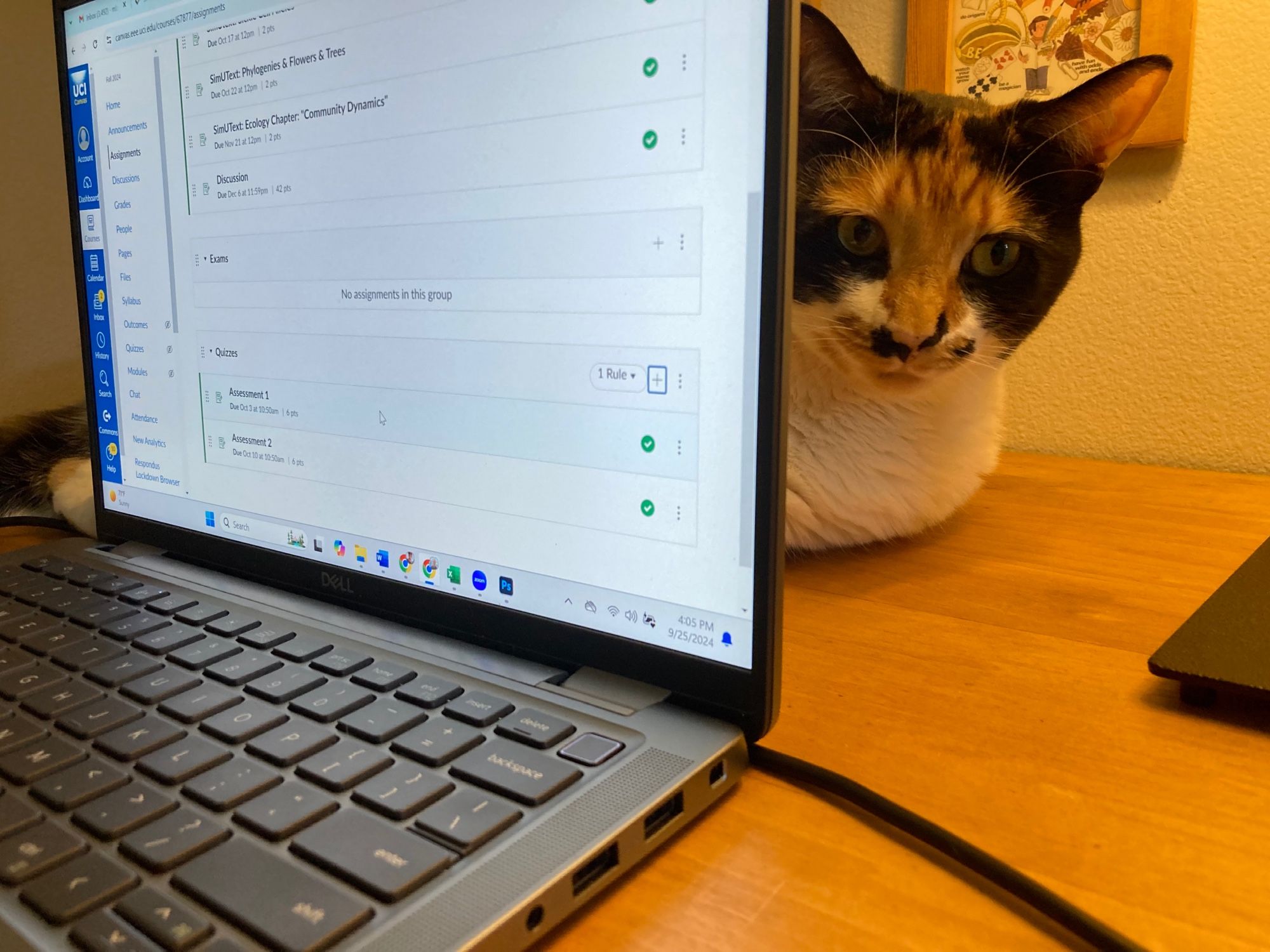 A calico cat peers from behind a laptop computer.