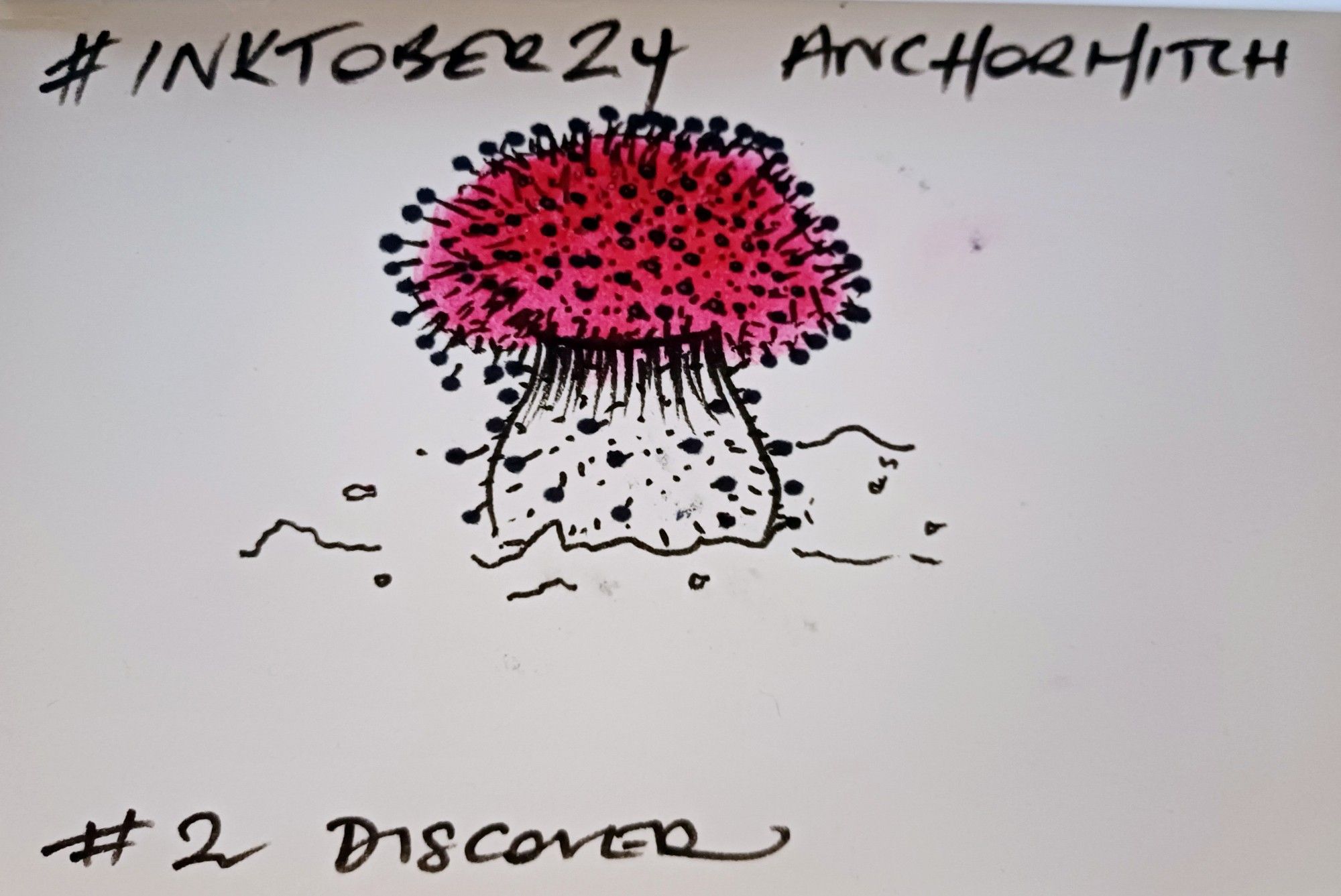 A drawing of a pink capped mushroom with lots of little spores exploding from its surface. Drawing for #inktober24 entitled Discover.