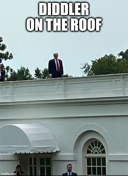 Meme of Trump on the WH roof with the meme caption "Diddler on the Roof"