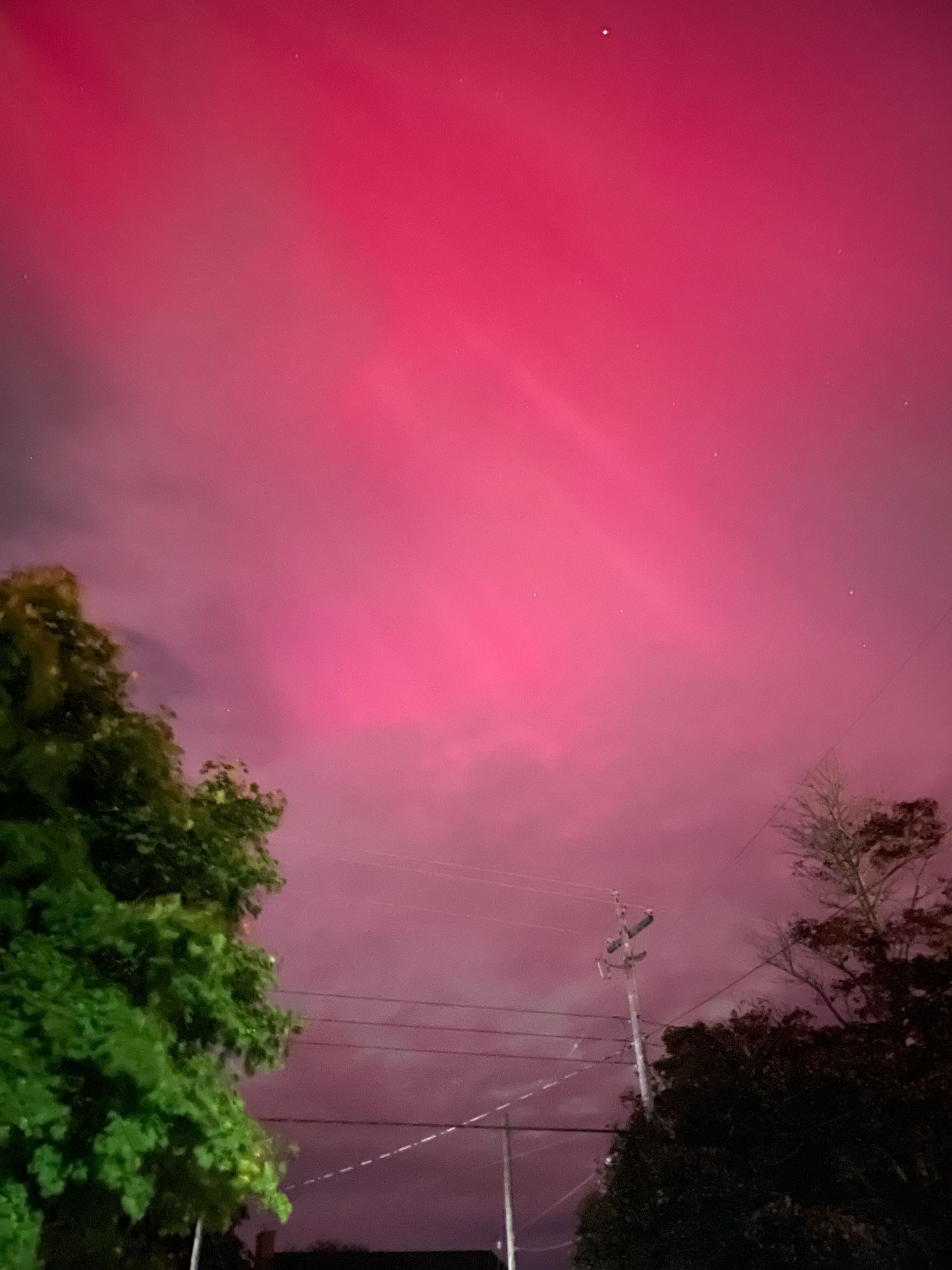 Northern lights. pink swirly. trees and power lines at the bottom of this one