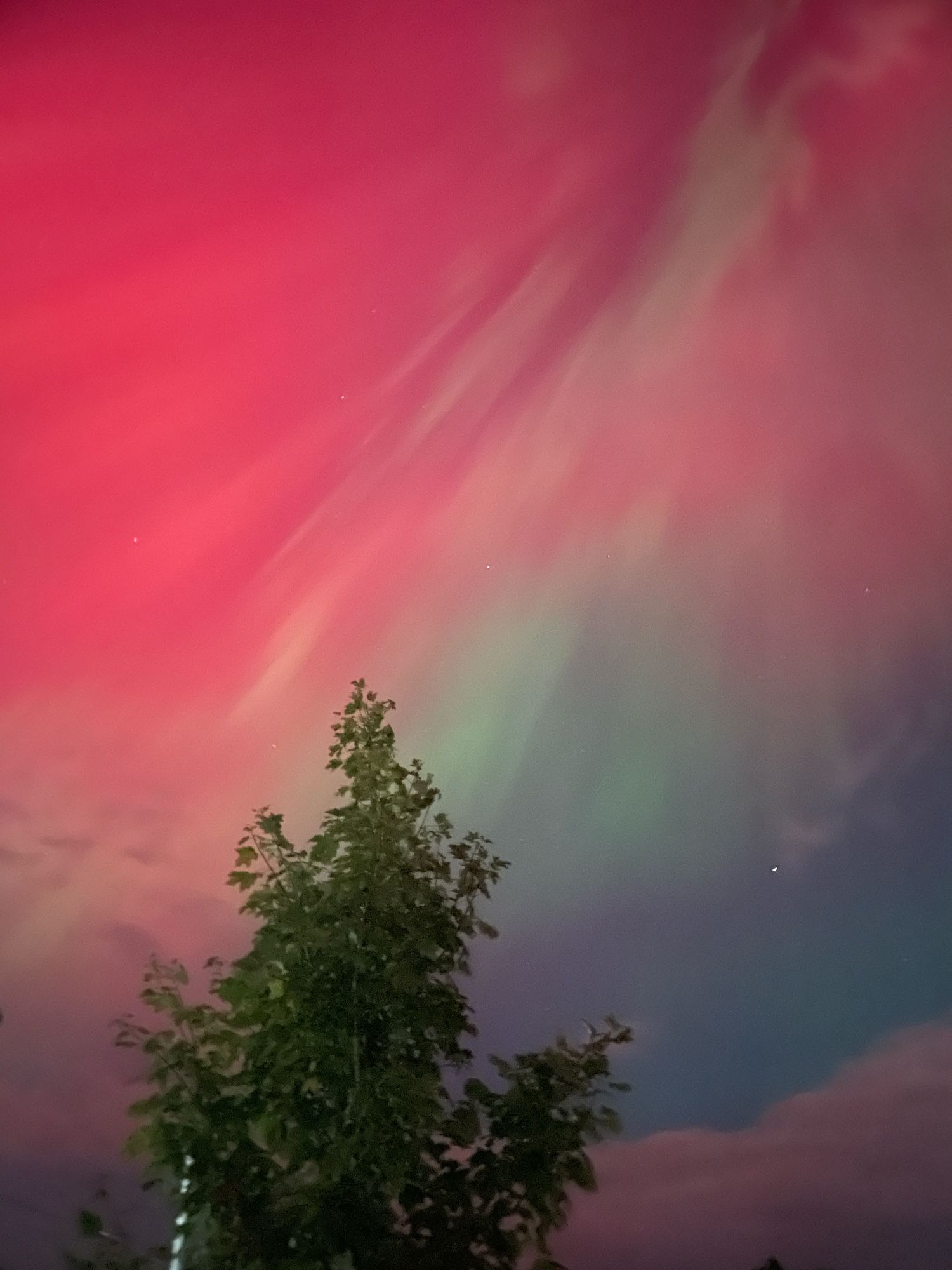 Northern lights. pink swirly 