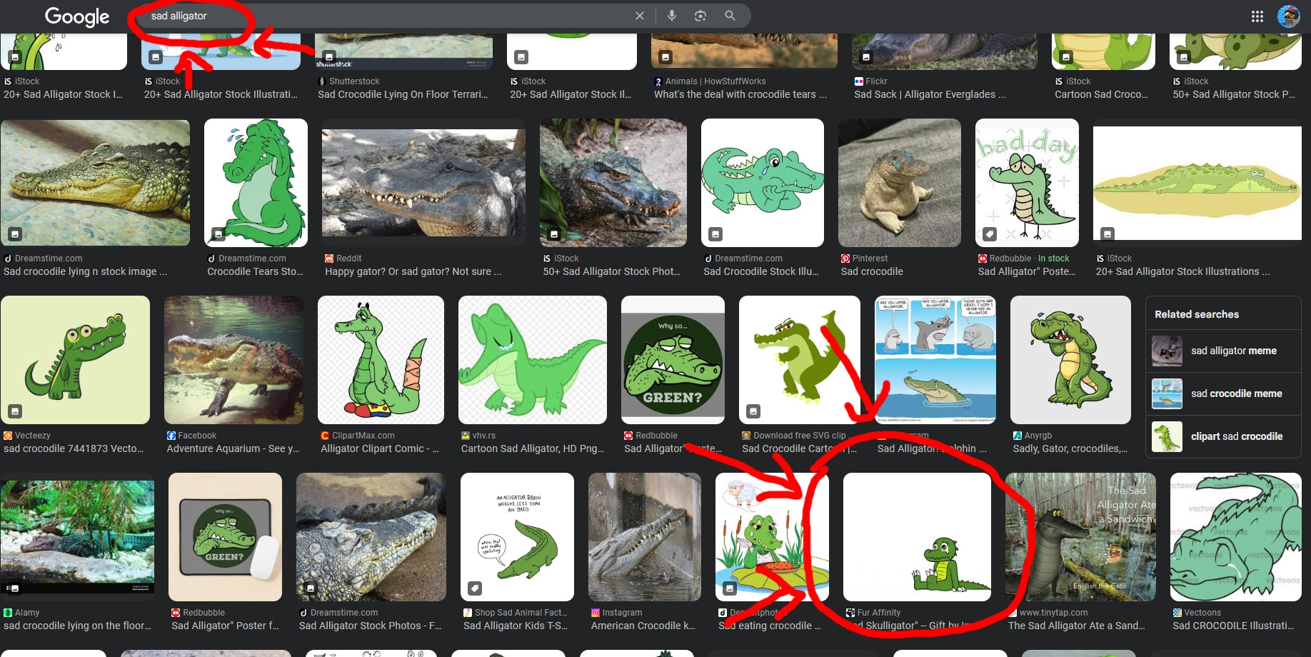 Screenshot of a Google Image result when you search for "sad alligator" (highlighted in the top right-ish by a redline circling). As also show by a redline circling in the bottom left-ish of this screenshot, the sad crocodile version of my fursona appears in the third row of this Google Image result. 