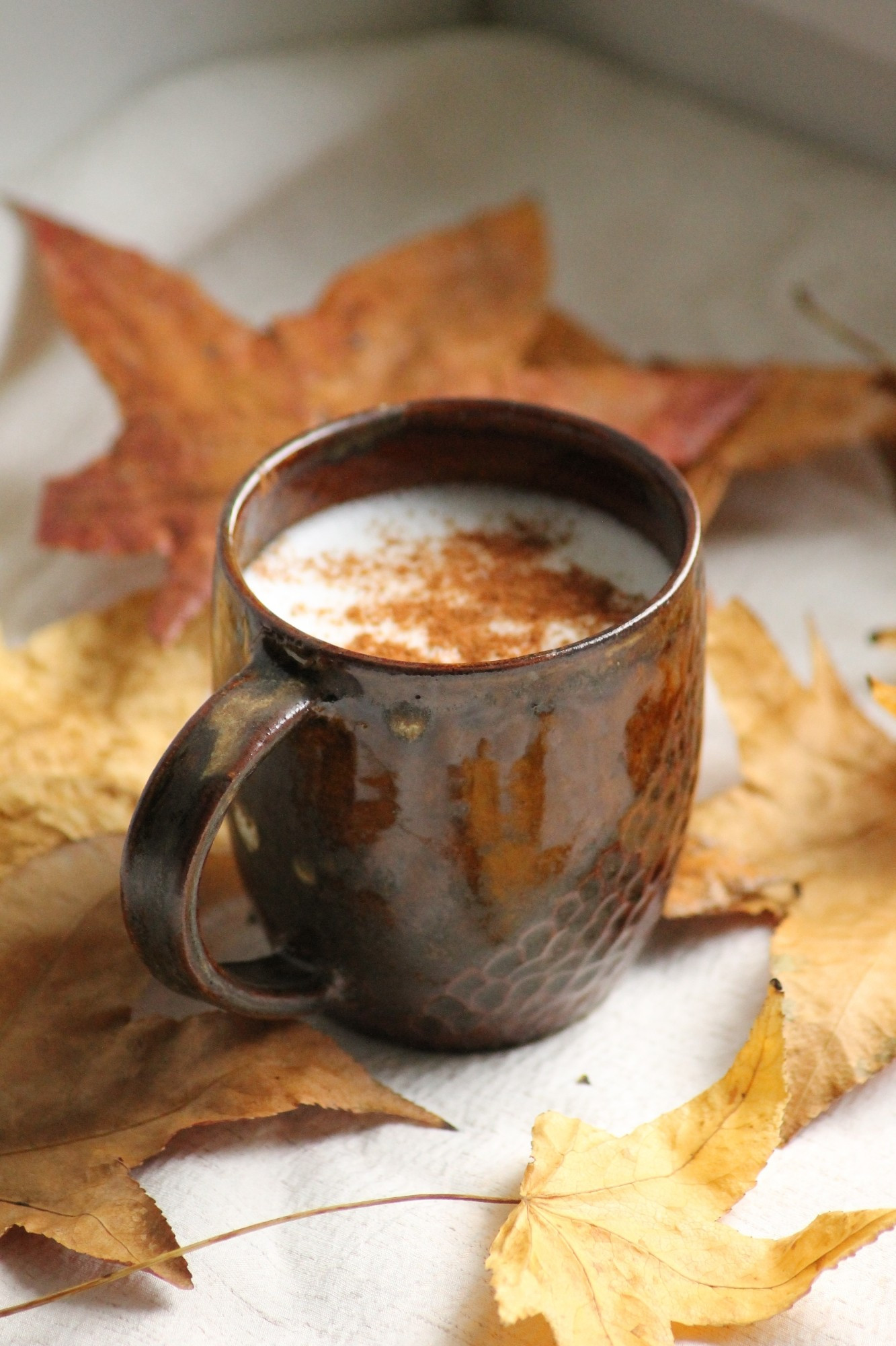 Tasse en grès et lait à la cannelle