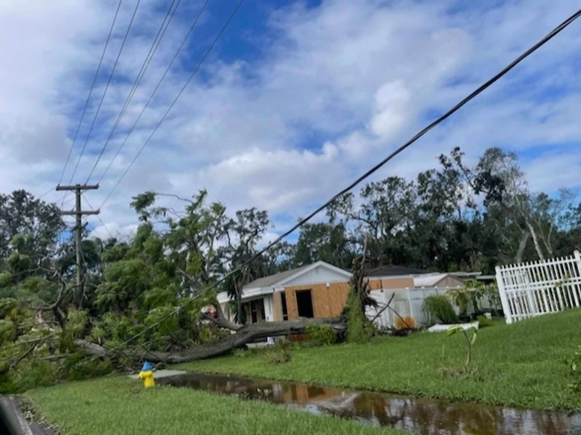 huge tree fallen on to a power line. the sidewalk is flooded but grass is still visible in the adjacent yard