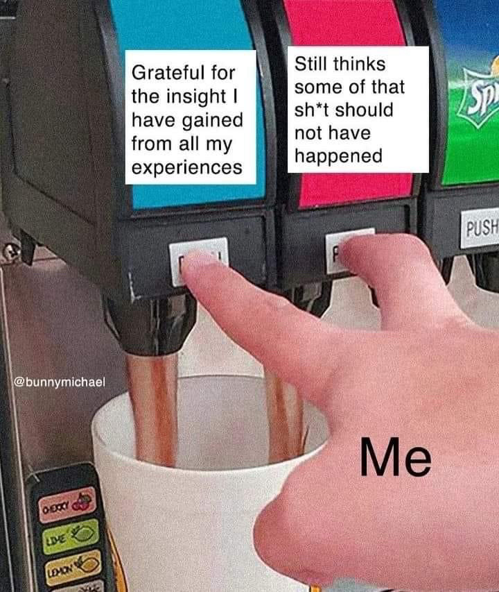 The pressing two cokes meme where one is labeled grateful for the insight i have gained from all my experiences. 

The second label says still thinks some of that shit should not have happened. 

A hand labeled me is pressing both buttons