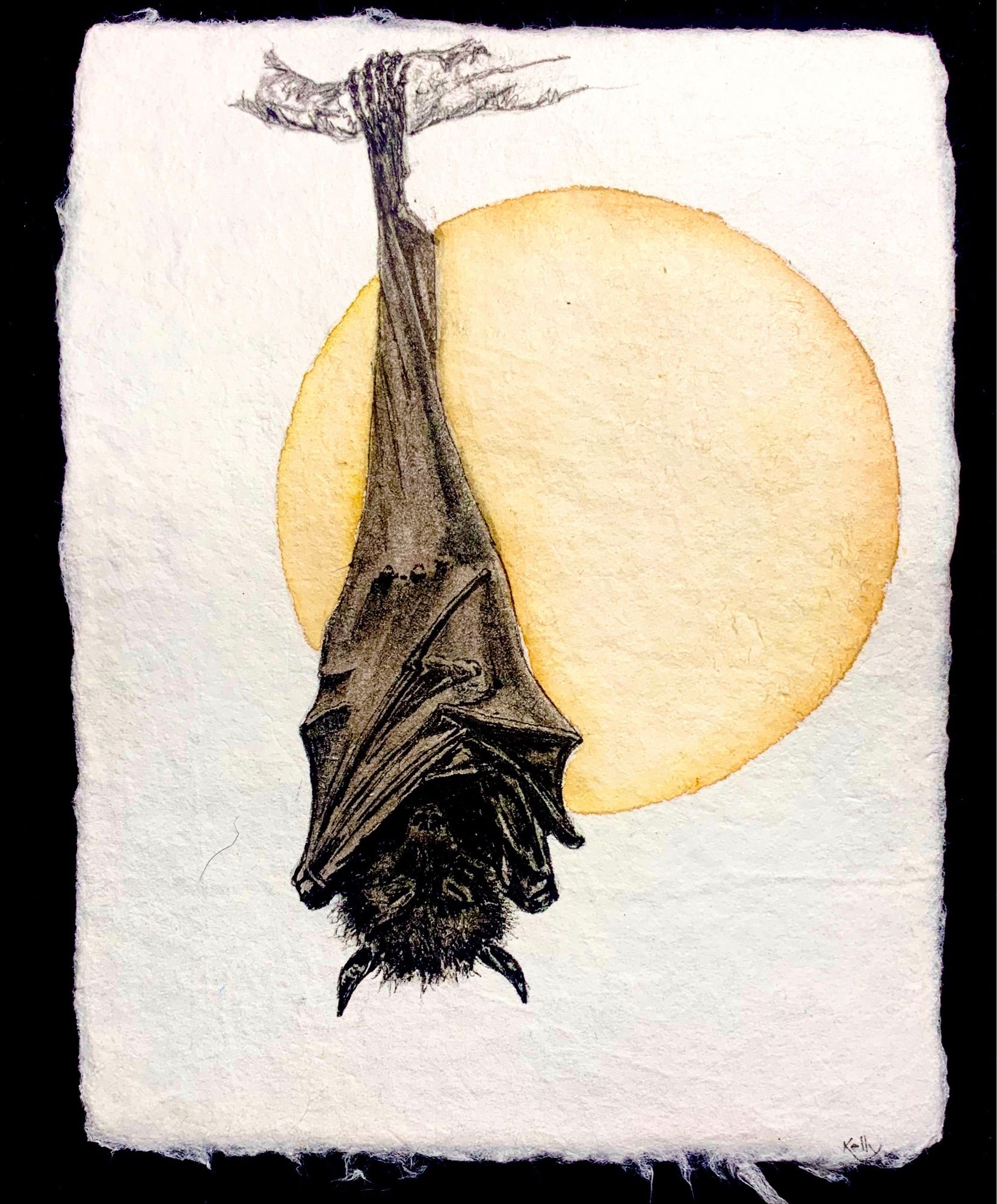 An illustration in watercolour and ink of a flying fox hanging upside down from a branch with a full moon behind