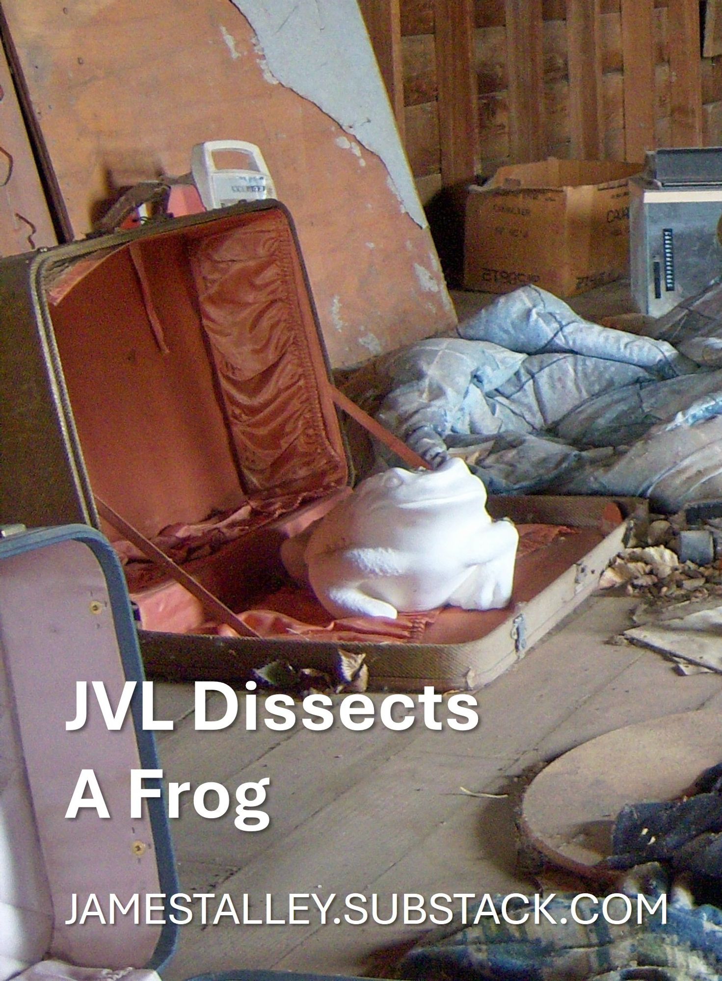 JVL Dissects A Frog
JAMESTALLEY.SUBSTACK.COM