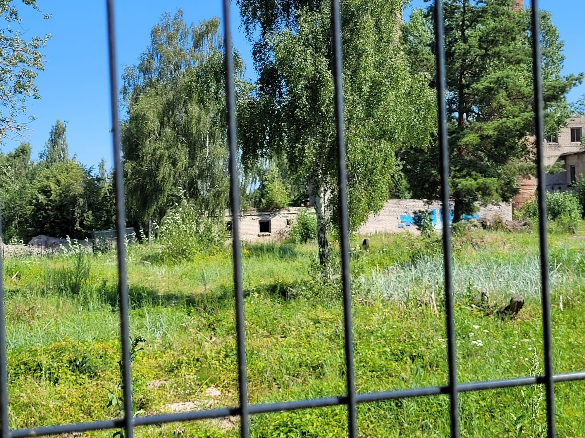 Factory "offices(?)" behind the greenery and fences.