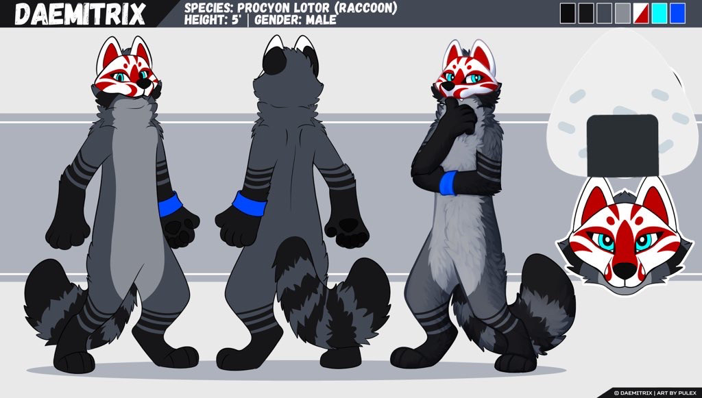 Raccoon ref