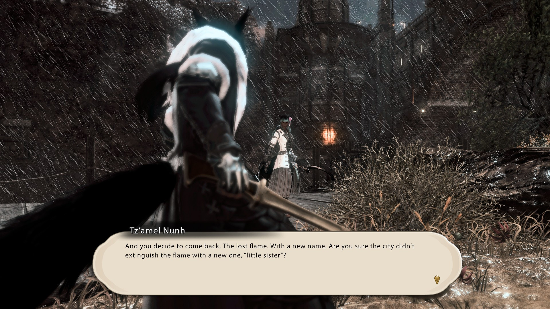 Years later, Tz'amel, now Nunh of the Tz tribe, encounters Tz'Nyldrean, now more knowed as Eldyran. Tz'amel feels betrayed and forgotten by her sister. Eldyran has been travelling around Eorzea and the rest of Etheirys, with the Warrior of Light, saving the world and learning to have a better control of her "Azeyma blessing". But the bad blood between siblings is already strong.