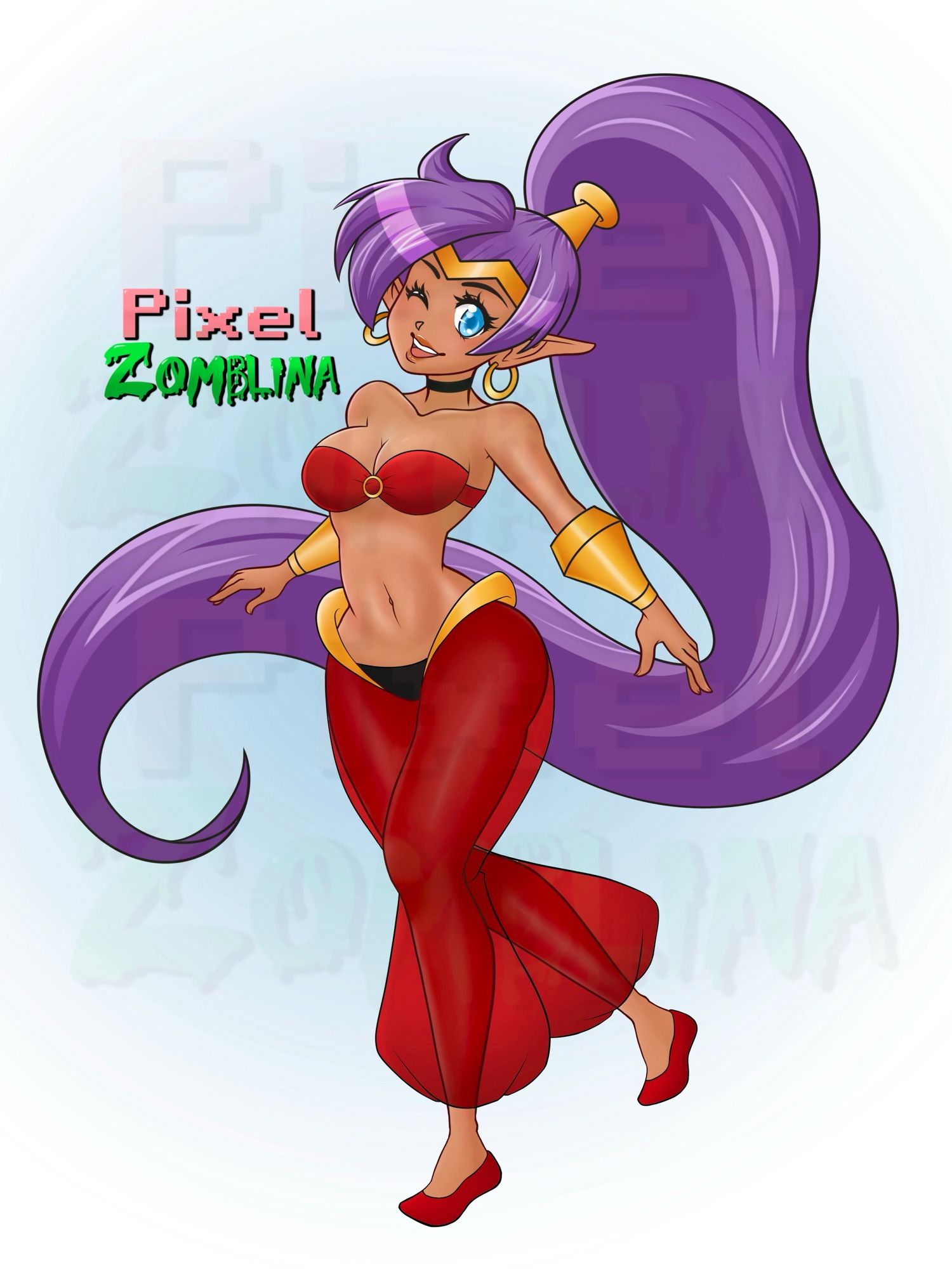 Shantae the Half Genie, half hero!