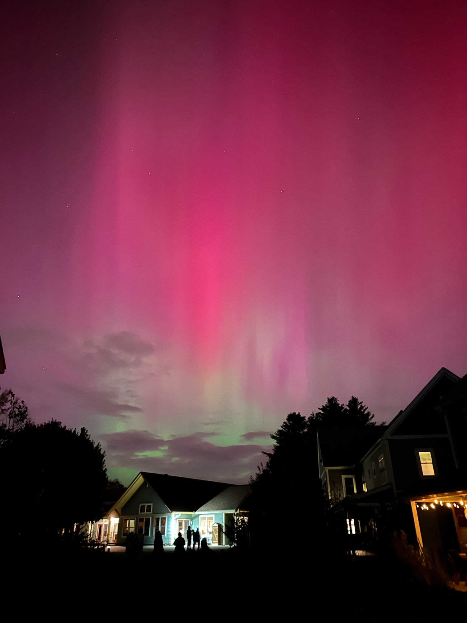 Photo of the nighttime sky over houses with trees behind them. The Aurora Borealis can be seen as dancing vertical stripes of magenta that fade into soft sea green near the roofline.