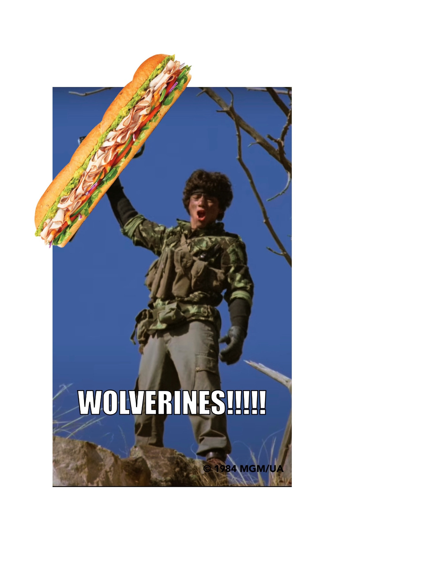 Freedom fighter holds a sandwich of justice aloft!