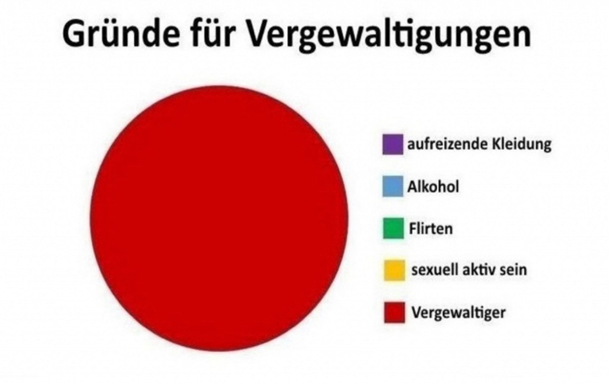 Tortendiagramm „Gründe für eine Vergewaltigung“: 
Lila=aufreizende Kleidung
Blau=Alkohol
Grün=Flieten
Gelb=sexuell aktiv sein
Rot= Vergewaltiger
Das Diagramm ist zu 100% rot gefärbt