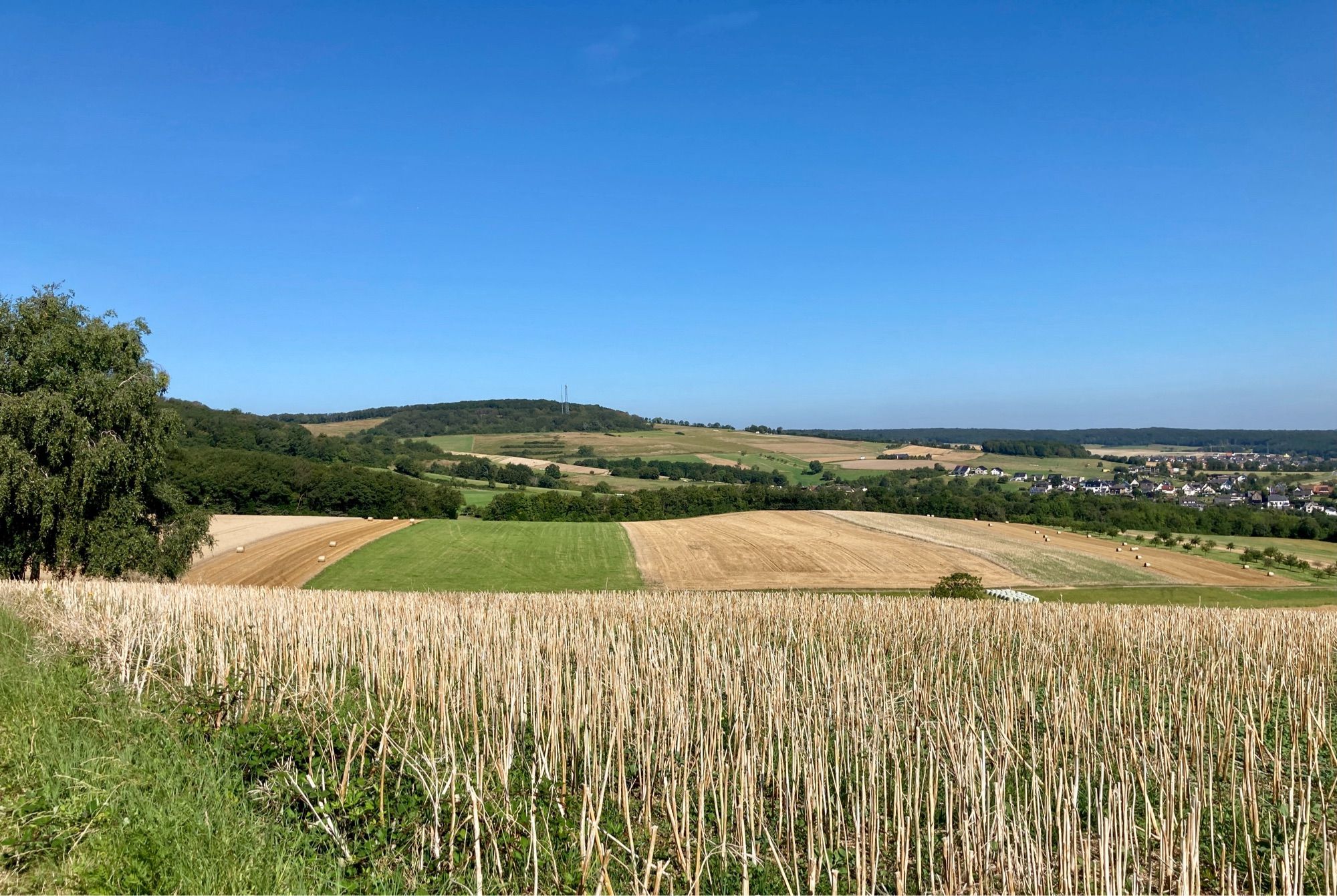 Blick in die Landschaft mit abgeernteten Feldern und vertrockneten Halmen im Vordergrund, teilweise grünen, teilweise braunen Feldern mit Strohballen dahinter und im Hintergrund leichte Hügellandschaft mit Wald und Dorf