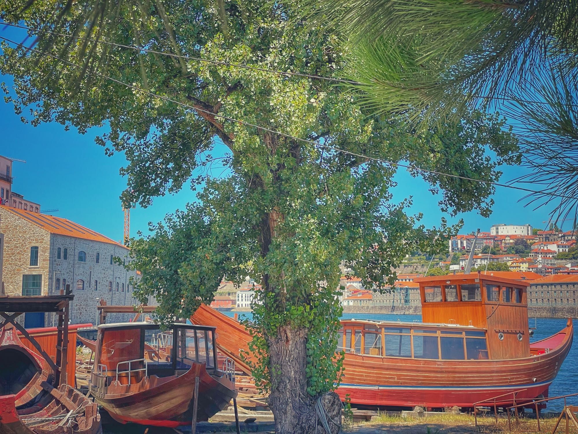 yellow summer - #gaia #porto #portugal
.
summer Julho 2023
.
.
#river #douro #heritage #street #architecture #arquitectura #arquitetura #landscape #nature #natureza #igersportugal #visitporto #visitportugal #p3top #portugalcomefeitos 