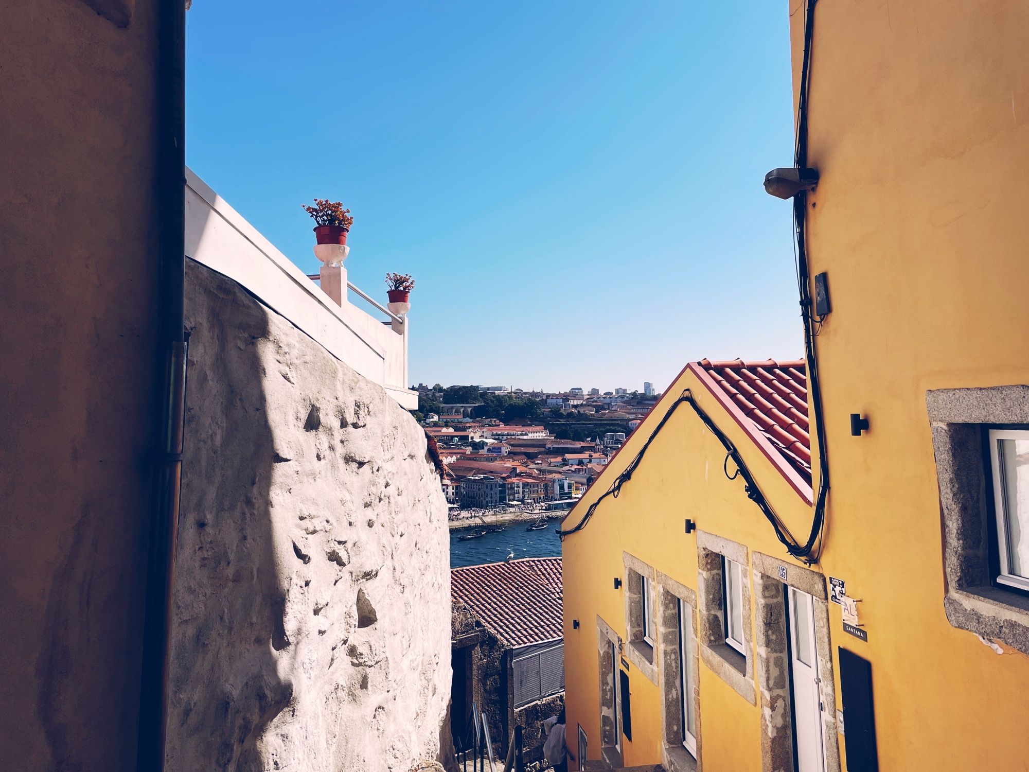 blue summer- #porto #oporto #portugal
.
summer Julho 2023
.
.
#heritage #street #architecture #arquitectura #arquitetura #landscape #nature #natureza #igersportugal #visitporto #visitportugal #p3top 
#vsco 