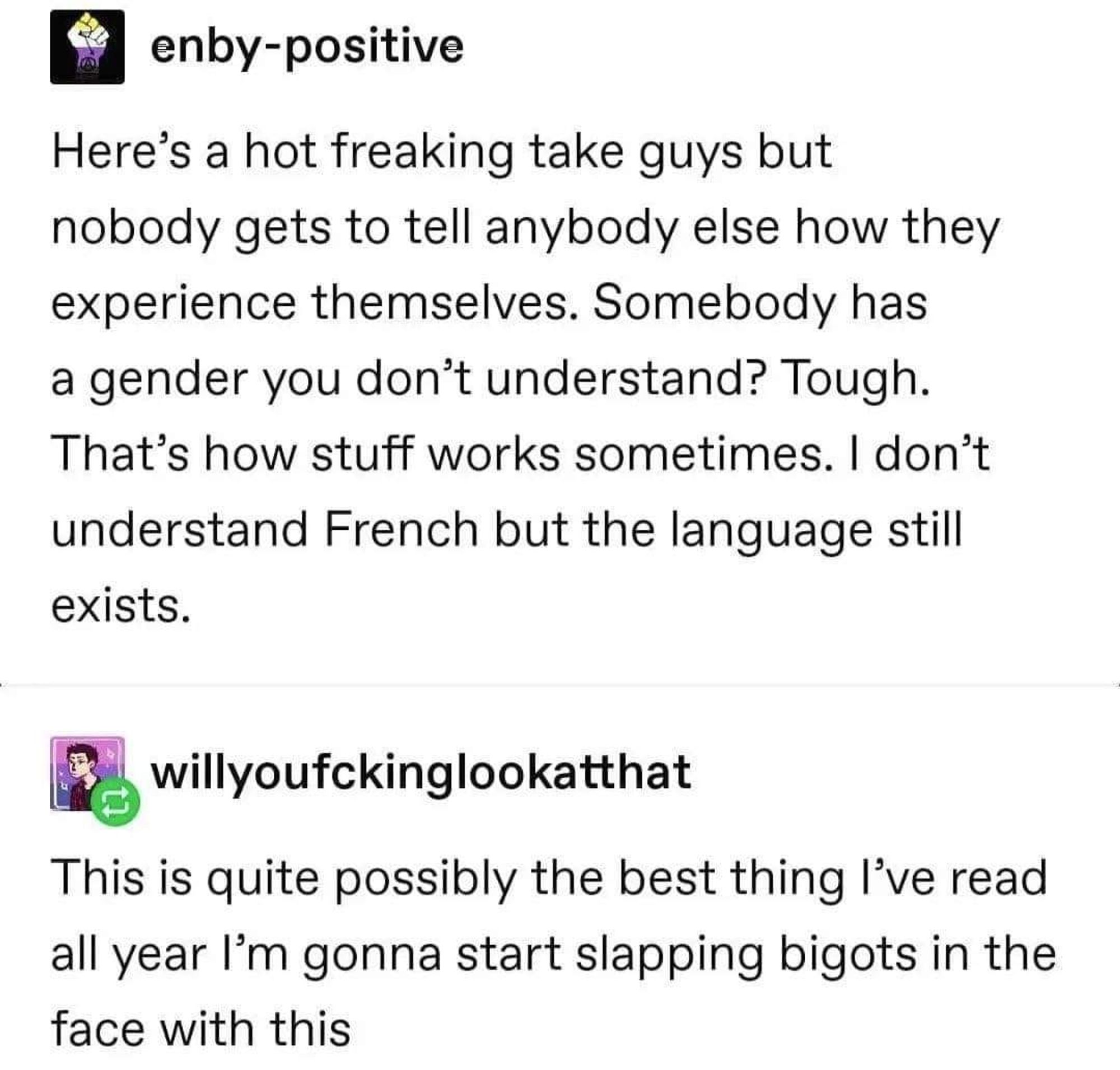 Here’s a hot freaking take guys but

nobody gets to tell anybody else how they experience themselves. Somebody has

a gender you don’t understand? Tough. That’s how stuff works sometimes. | don’t understand French but the language still exists.

@wiuyoufckinglookauhat

This is quite possibly the best thing I’'ve read all year I’'m gonna start slapping bigots in the face with this