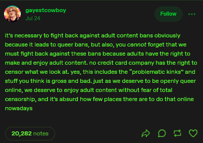 Alt Text: it’s necessary to fight back against adult content bans obviously because it leads to queer bans, but also, you cannot forget that we must fight back against these bans because adults have the right to make and enjoy adult content. no credit card company has the right to censor what we look at. yes, this includes the “problematic kinks” and stuff you think is gross and bad. just as we deserve to be openly queer online, we deserve to enjoy adult content without fear of total censorship, and it’s absurd how few places there are to do that online nowadays 