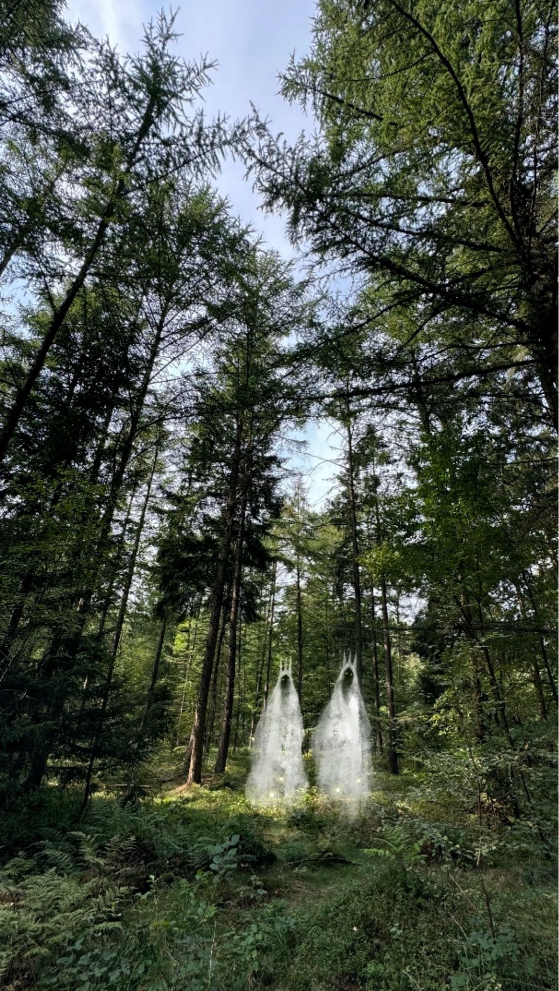 Illustriertes Foto: zwei gekrönte Geistwesen in einem lichten Spätsommerwald