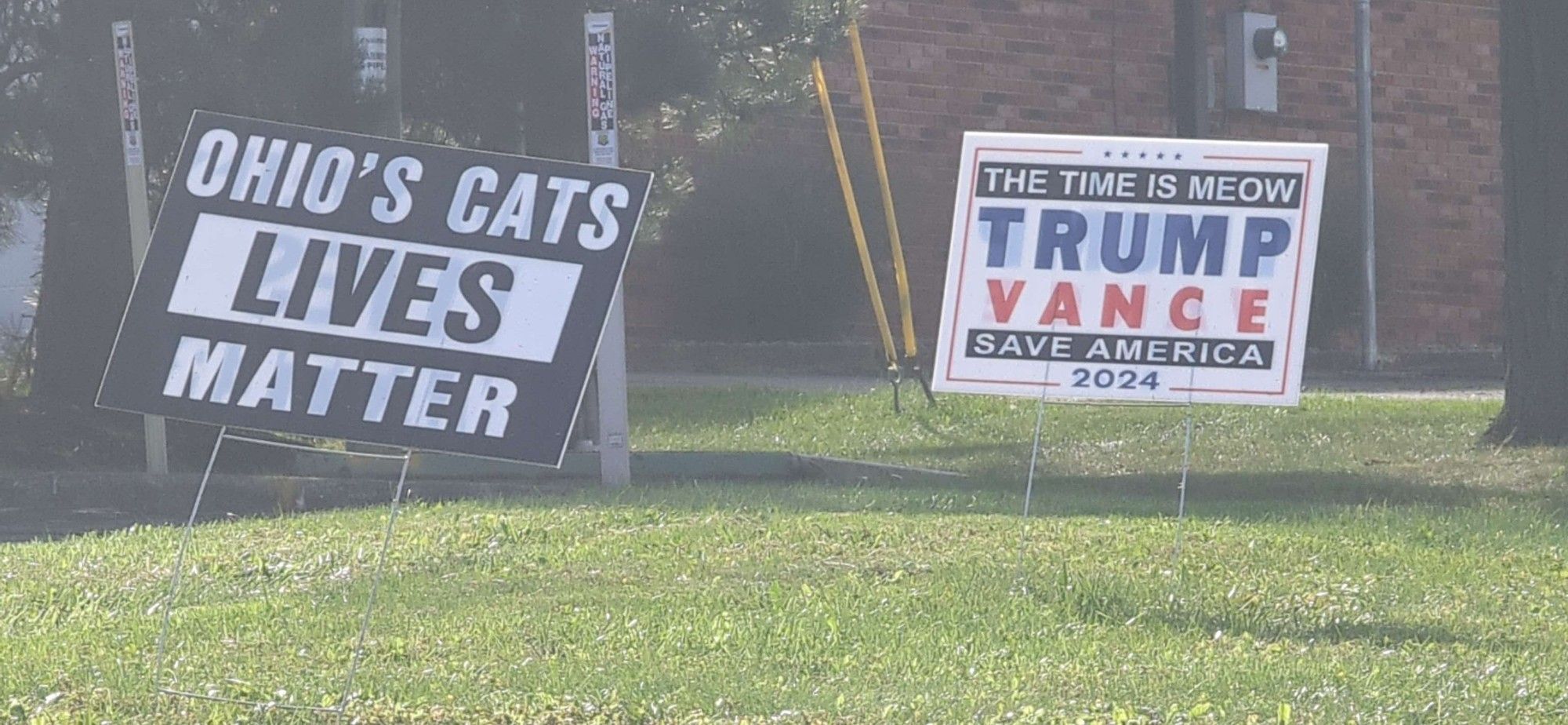 Two more of the political signs on the lawn, the sign on the left is black and white and mimicking the aesthetics of the black lives matter campaign, it says: Ohio's cats lives matter
The sign on the right is a more typical looking Trump and Vance campaign sign, it says: The Time is Meow Trump Vance Save America 2024