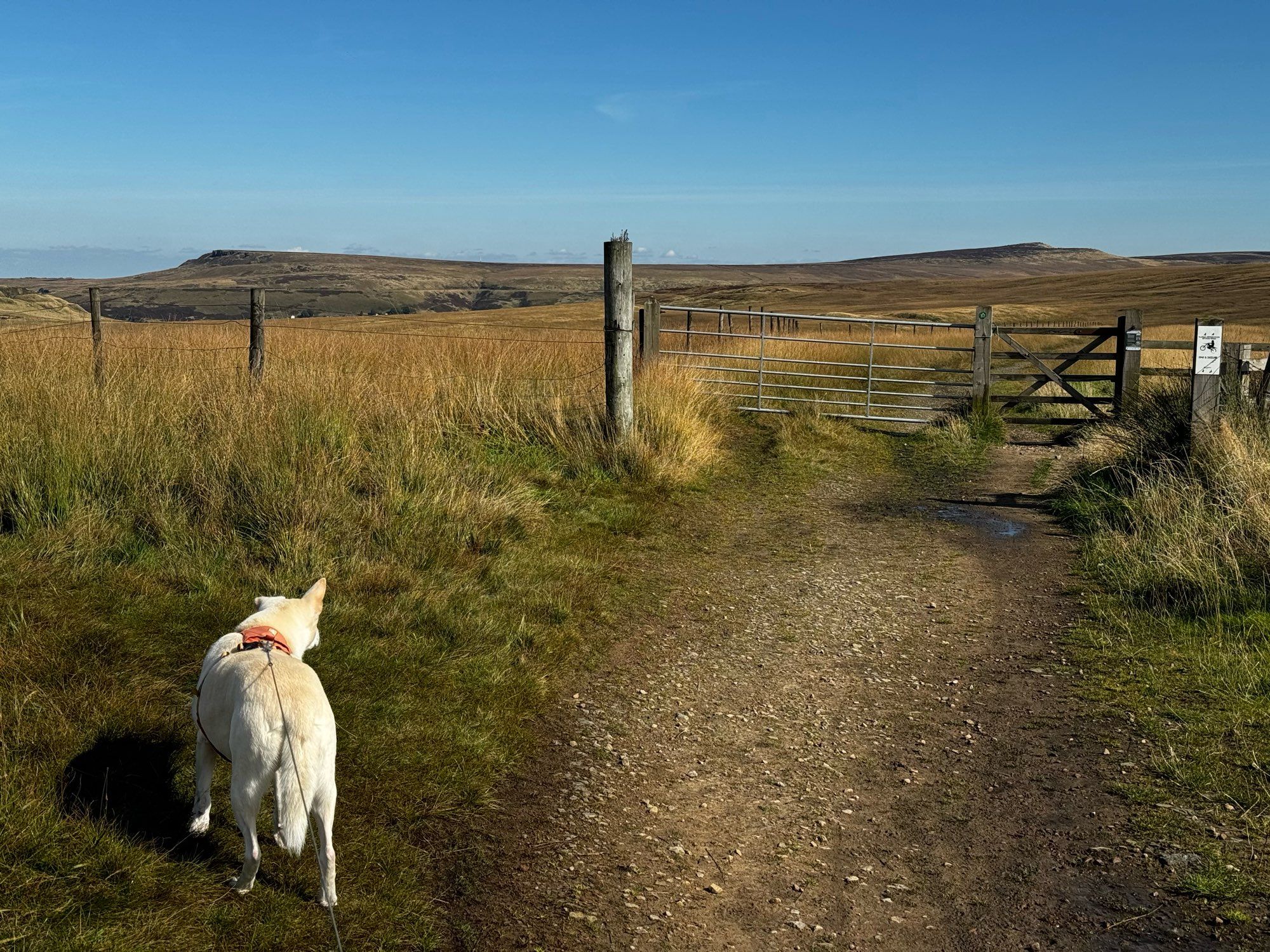 Bella looks East towards Shooters Nab and West Nab