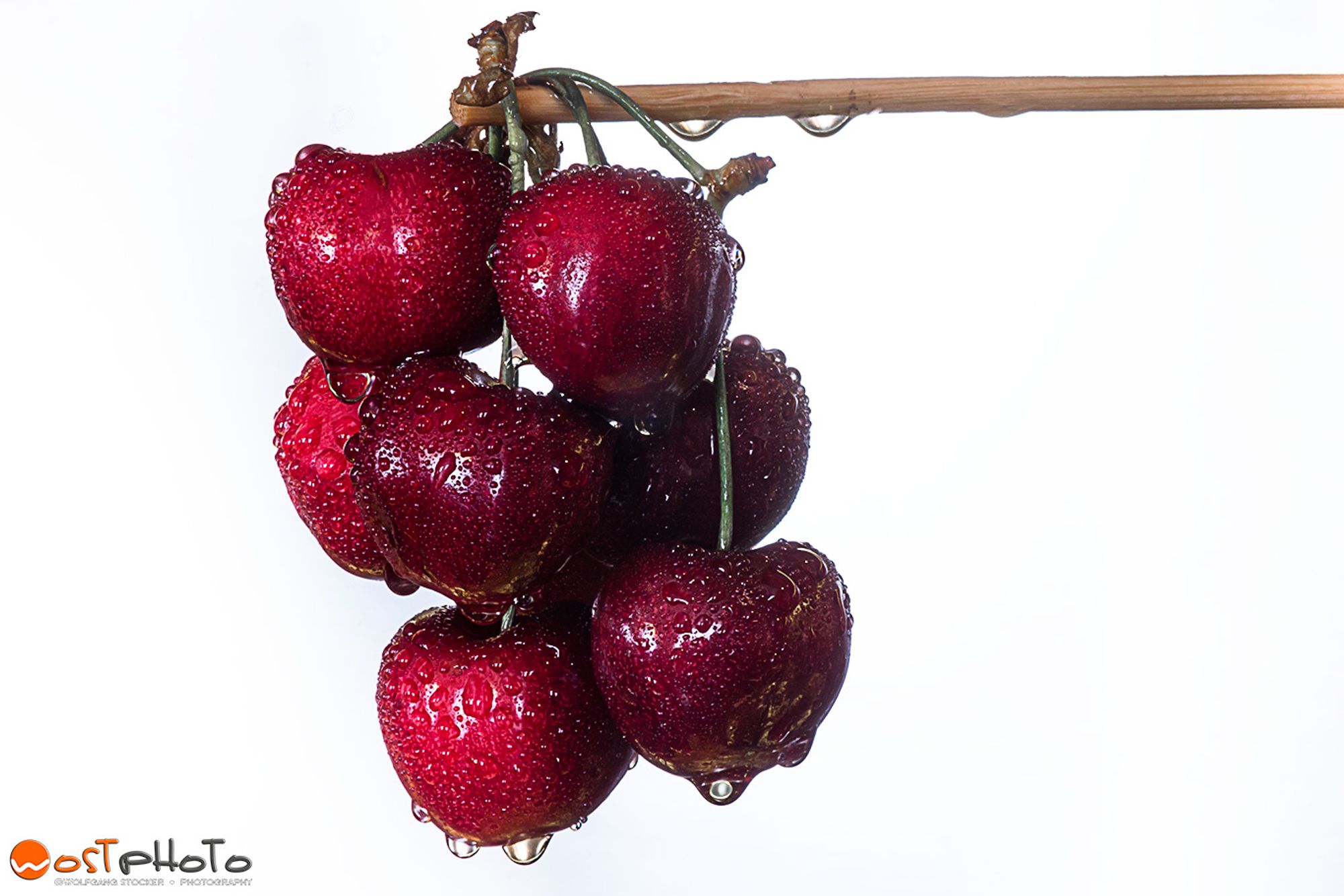 Bundle of red wet cherries hanging on a stick