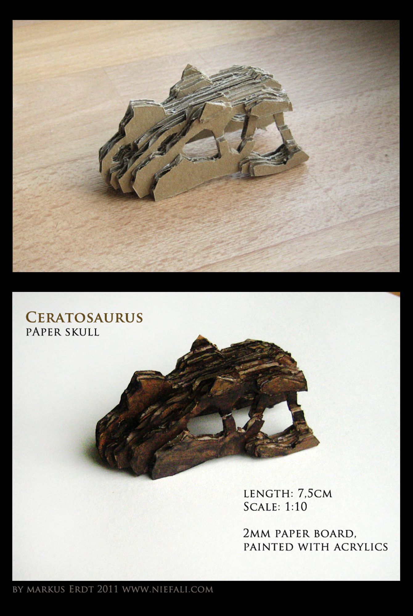 A Ceratorsaurus upper skull, made out of slices of paper, glues together to create a 3d form. Painted in a dark brown color. By Markus Erdt