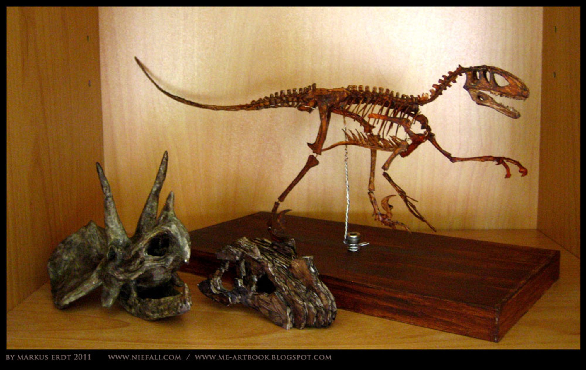 Sculpted models of dinosaurs in brown colors. A complete Deinonychus made out of paper, wire and glue. A Triceratops skull and a paper Ceratosaurus skull without jaw. By Markus Erdt.