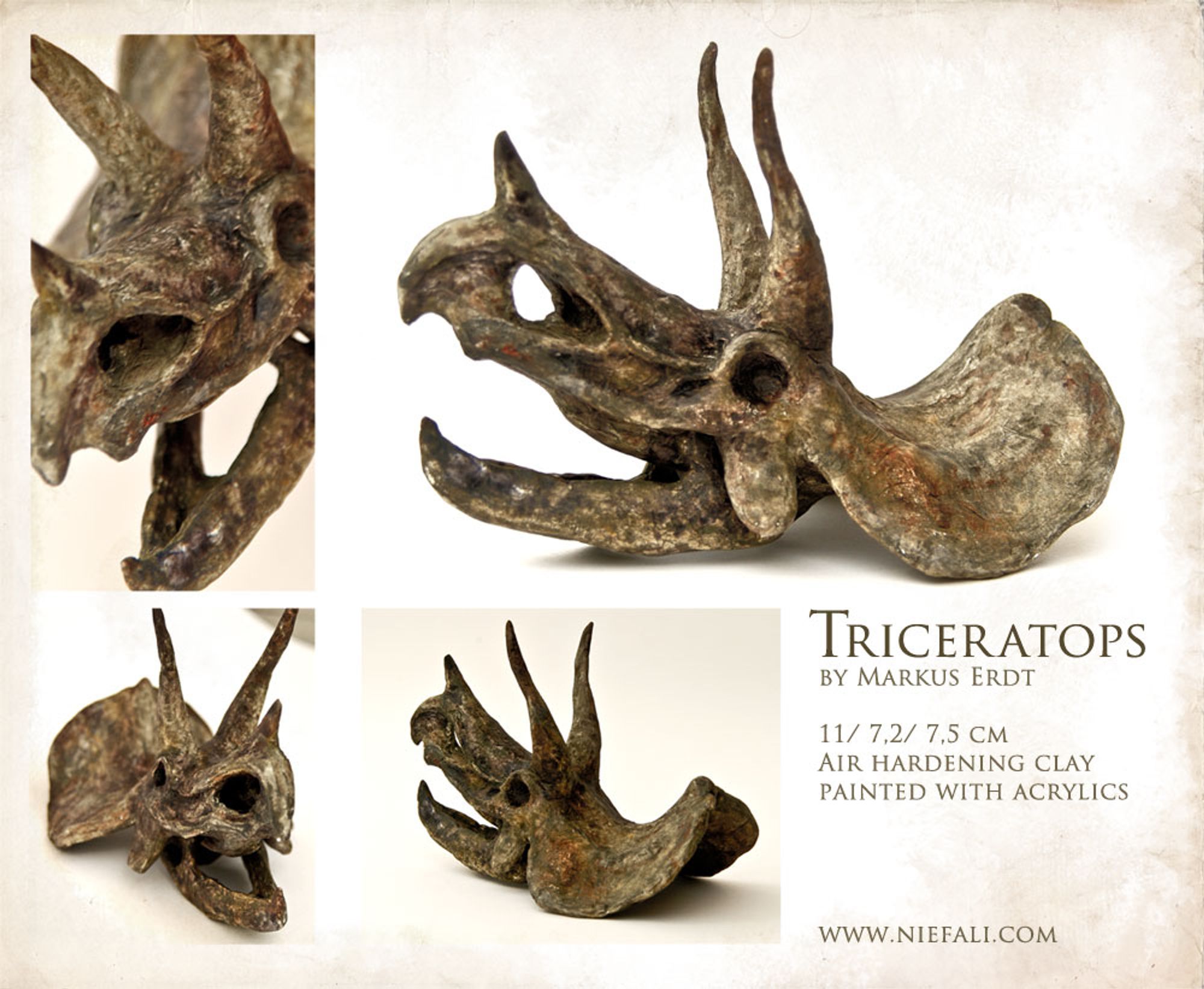 A Triceratops skull with moveable jaw. Made from clay, painted in grey brown colors. By Markus Erdt.