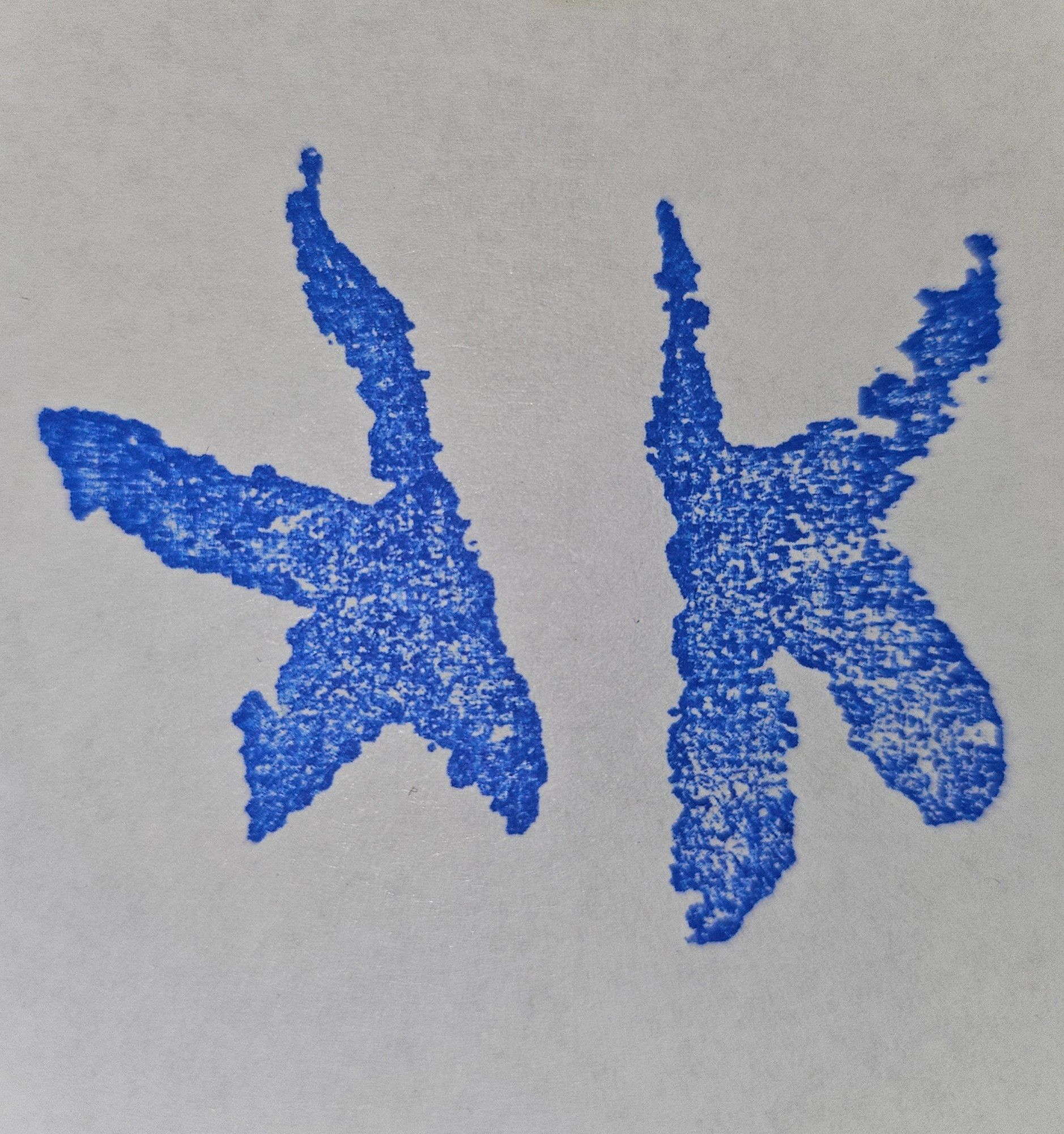 A rubber stamp imprint, showing Blakiston's fish owl tracks in blue ink