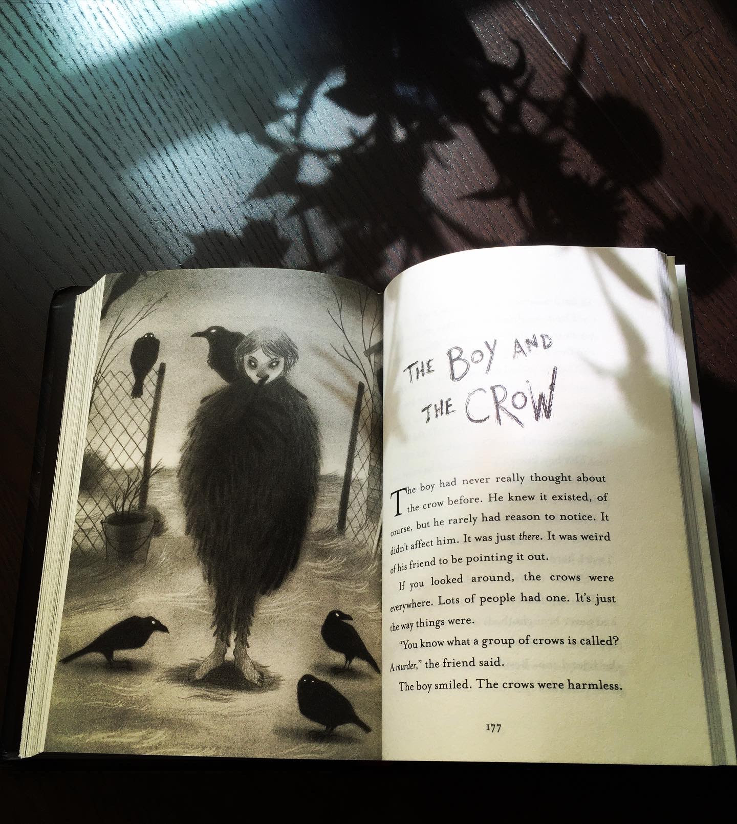 Book open to a full-page illustration by Carolina Godina of a boy with a finger/wing to his lips--he appears to be part boy, party crow, and there are multiple real crows around him, opposite the first page of the story The Boy and the Crow. The book is on a wooden table, with shadows from a vase of plants cast over it 