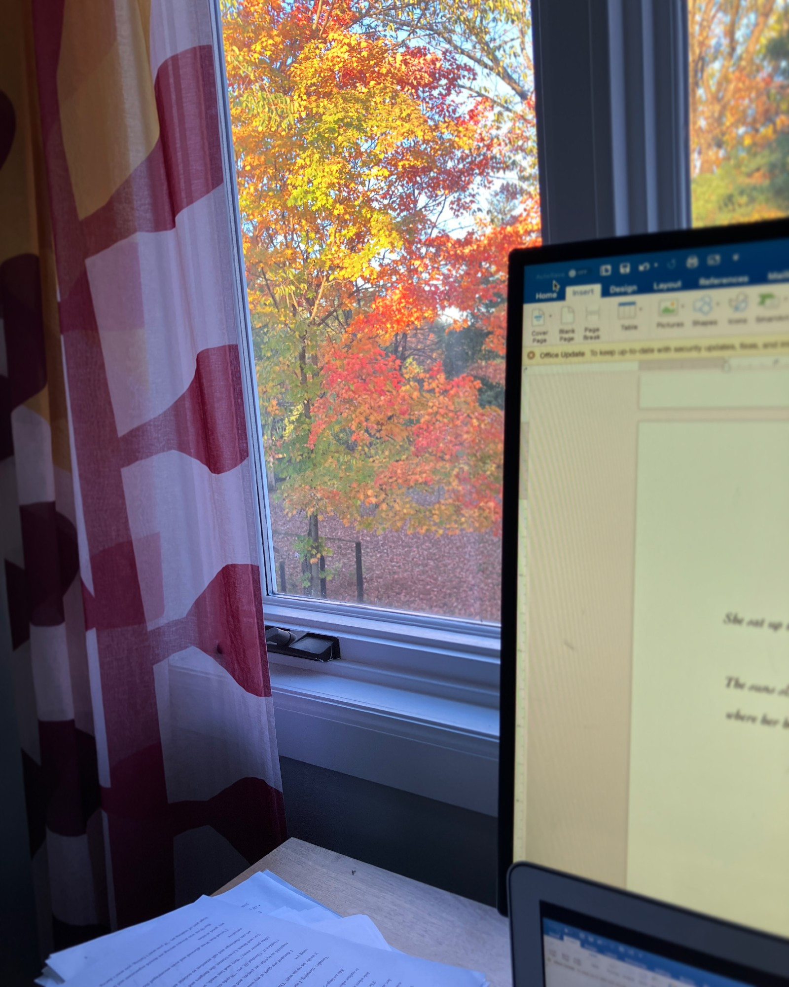 Interior: Desk with printed manuscript pages, laptop and monitor with Microsoft Word open. Behind it, a window with patterned curtains pushed aside. Outside: maple trees with yellow, orange, and green leaves.