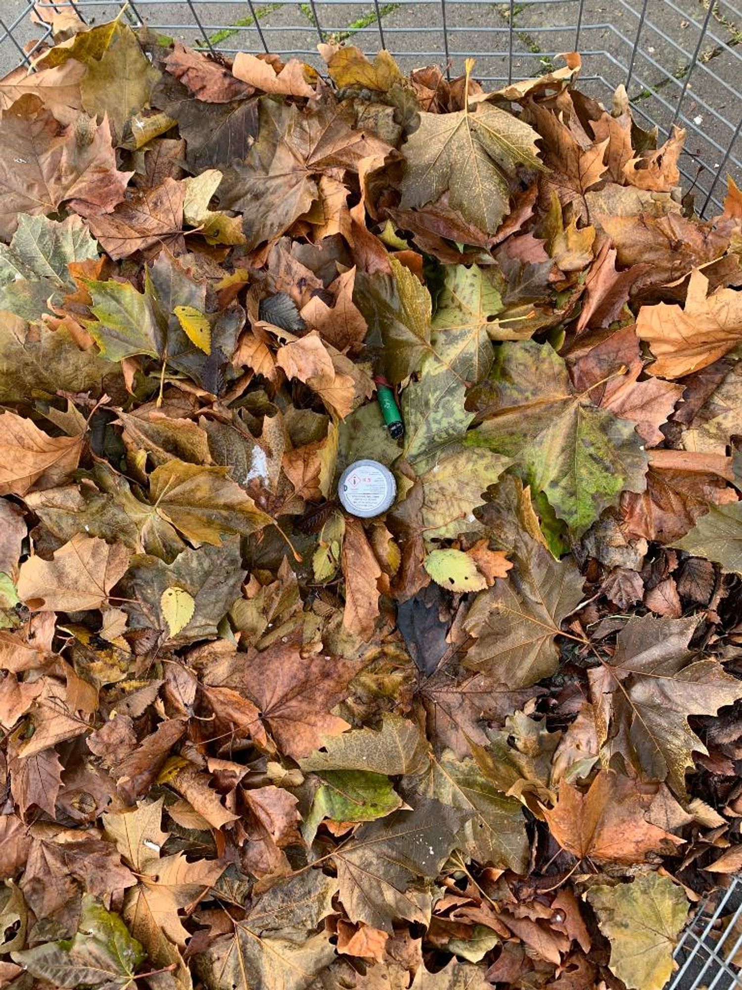 A Vape-pen in a compost-bin