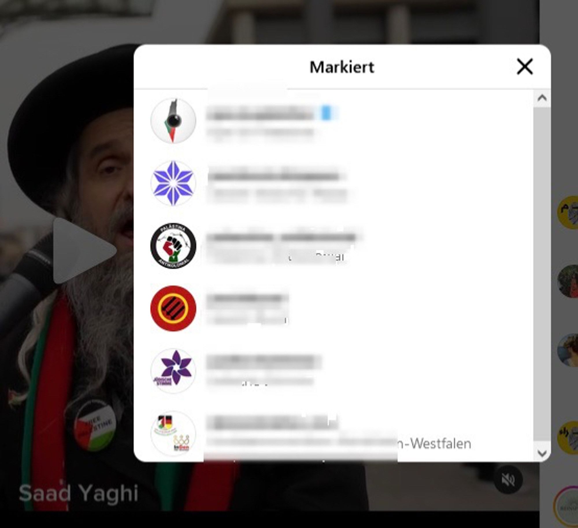 Screenshot der Bildmarkierungen des Interview zeigt u. a. Großdemonstration NRW/InterGen und Palästina Antikolonial-Logos