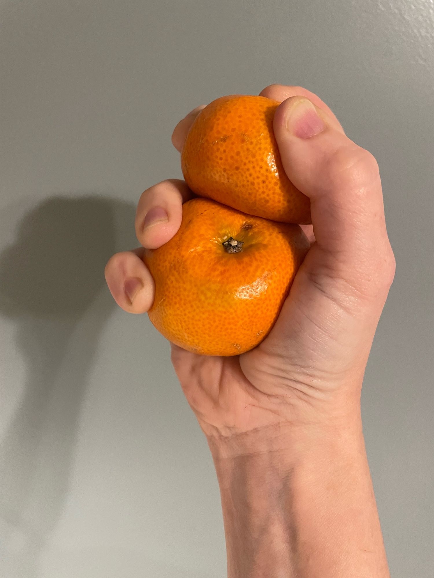 My right hand, tightly squeezing a pair of mandarin oranges.