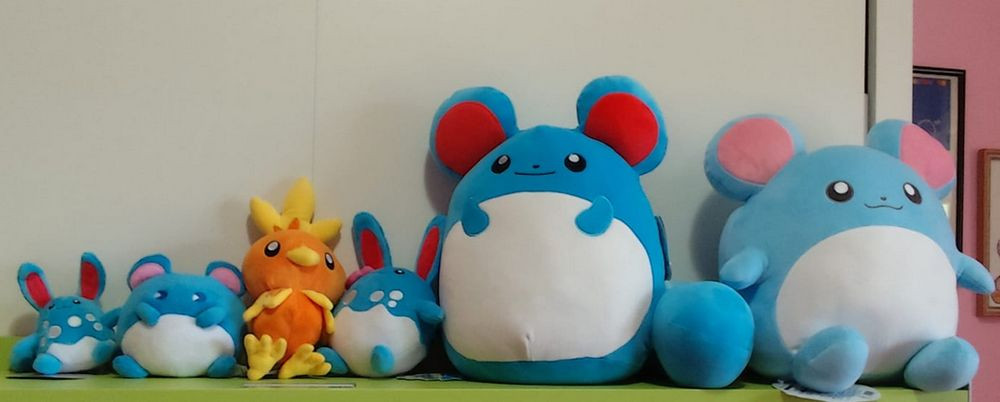 Numerous plushies of the rodent Pokémon Marill/Azumarill. There are two very large plushies that are nearly spherical in shape with a white belly and it has round ears with red insides (one has pink insides, but lacks the white cheek dots of the unevolved Azurill). Another smaller plushie of Marill, though also with pink inside its ears. Also there are two small plushies of Azumarill who has an ovoid body. The lower half of its body is white with a white, bubble-like pattern above it. It has elongated, rabbit-like ears with red insides and circular eyes.

Joining the group of blue plushies is the orange and yellow plushie of Torchic, a small, chick Pokémon with stubby, downy, yellow wings. There is an orange and yellow crest on its head that resembles a flame. Its two thin legs and short beak are a light brownish yellow, and the feet have three toes in front and one in the back.

(descriptions from the Bulbapedia entries)