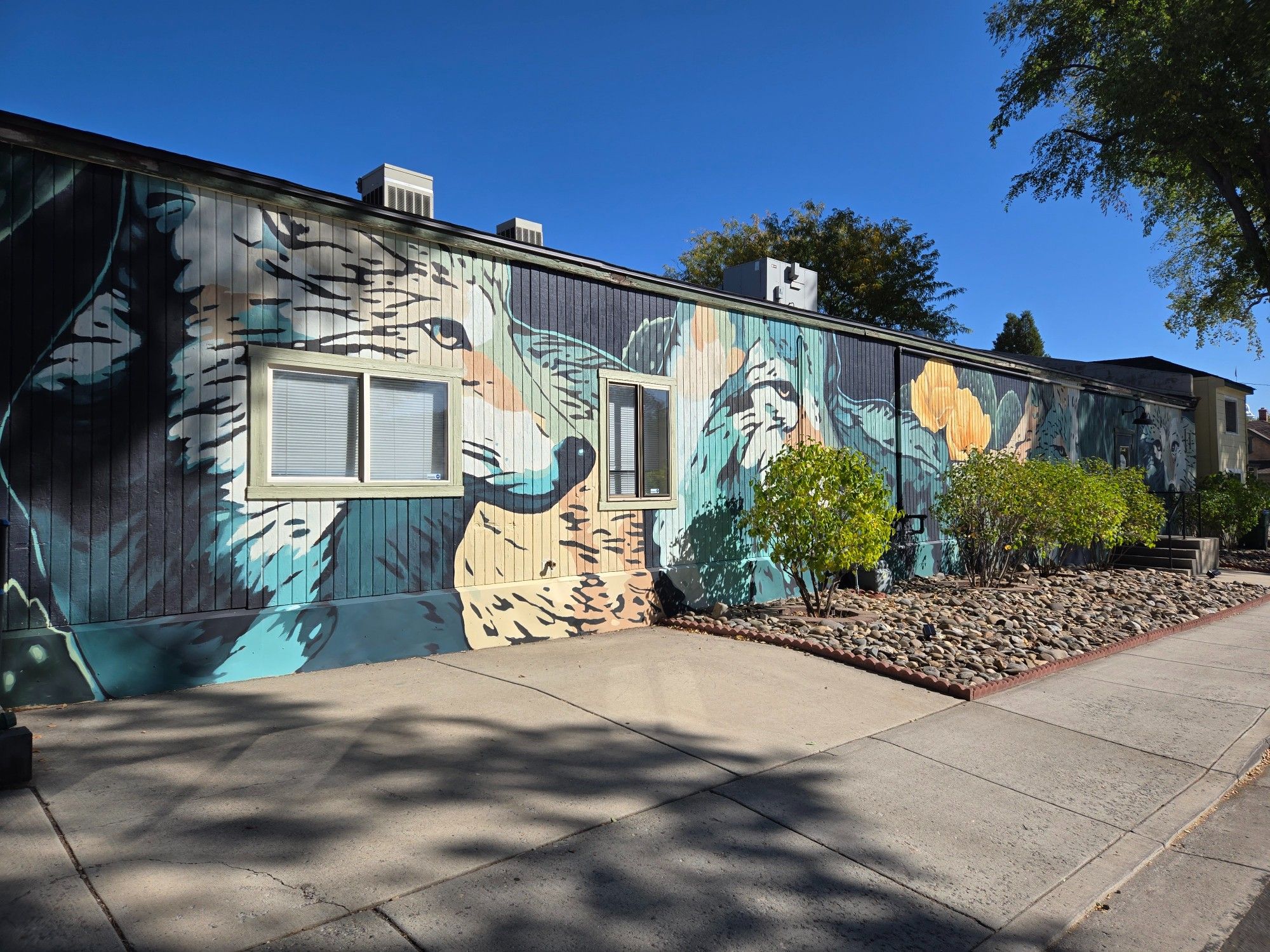 A mural by Charly Malpass @charlymalpass, replacing a previous mural on this wall done by Diana Uzzell in 2020.

A row of teal and white wolves/coyotes (due to the photographer's handle, we're going with wolves), with bright yellow flowers from blooming cacti between them. The background is black, and where the light shines on their fur, their colors are white and tan, with the shaded portions of their heads in blue and teal shades. Low green bushes growing near the bottom of the wall obscure some parts of the image from this angle.