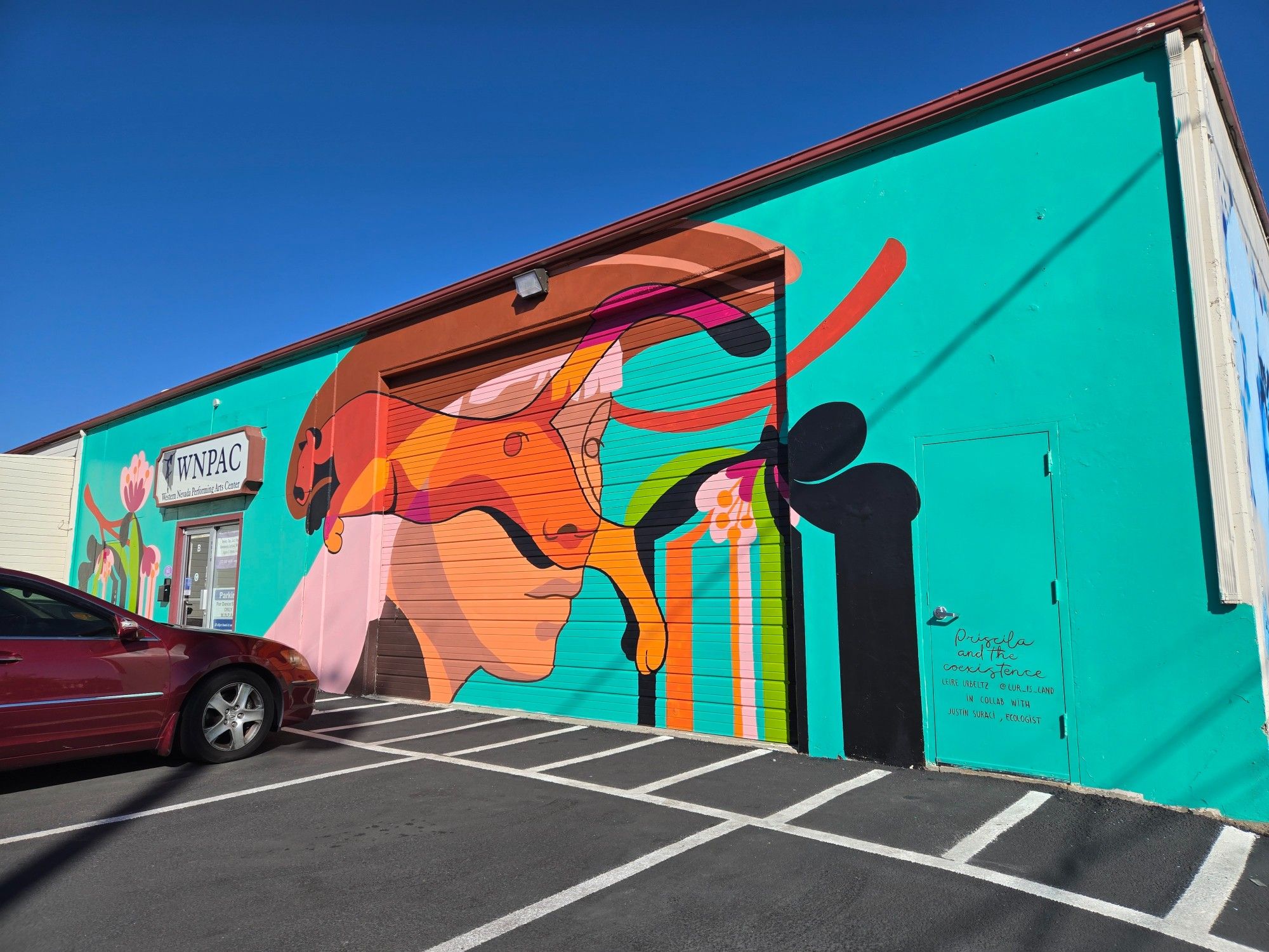 Artwork titled "Priscila and the coexistence" by Leire Urbeltz @lur_is_land in collab with Justin Suraci, ecologist

The wall of the Western Nevada Performing Arts Center is painted teal, with a large face of a person wearing a brown cowboy style hat and long pink hair. Over their face is a yellow-orange mountain lion jumping in the opposite direction, the line of its back leg aligning with the nose of the person. on either side of the face and mountain lion are multicolored flowers that appear to be spilling their colors down to the parking lot below.

A red car is parked in front, forcing the view to be at an angle. Clear blue sky is above and the sunlight is shining intensely onto the fresh paint.