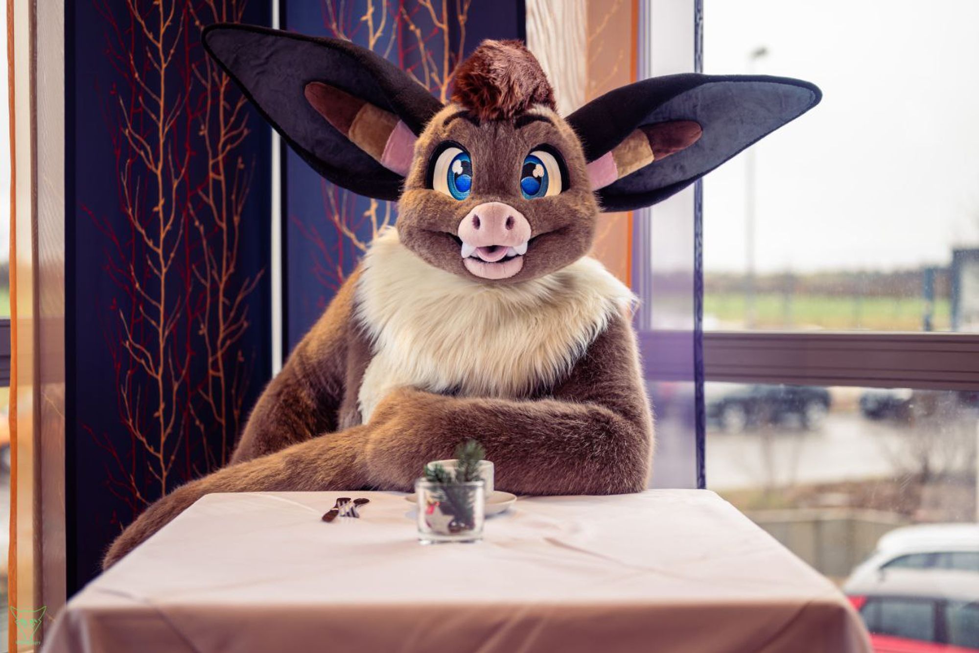 Fursuit picture of a brown long-eared bat sitting behind a table with a cup of coffee