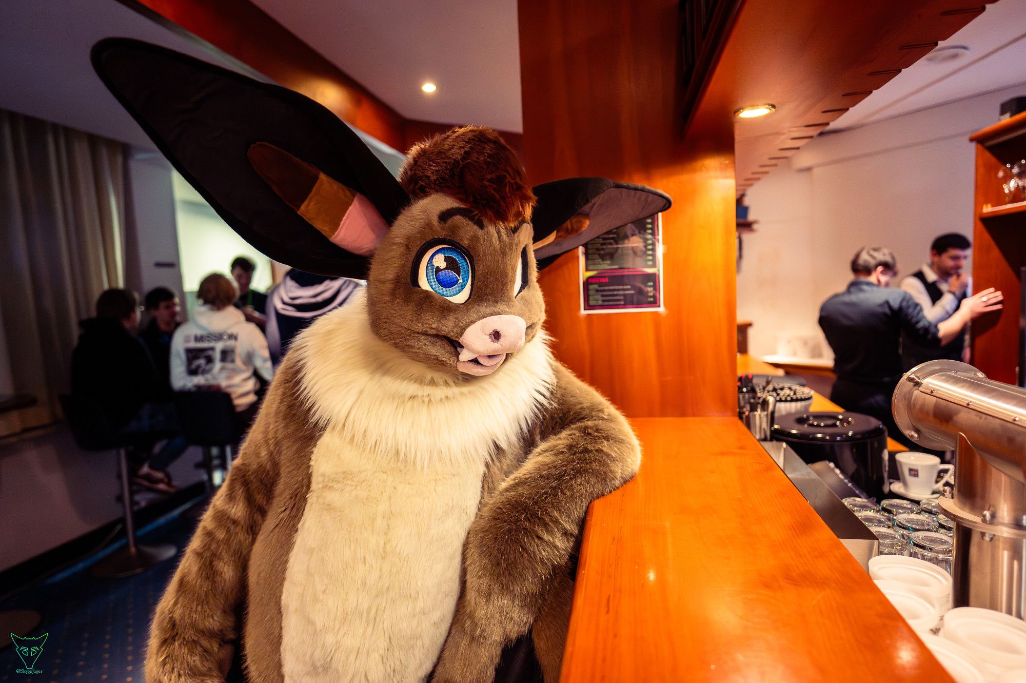 Fursuit picture of a brown long-eared bat sitting at a counter