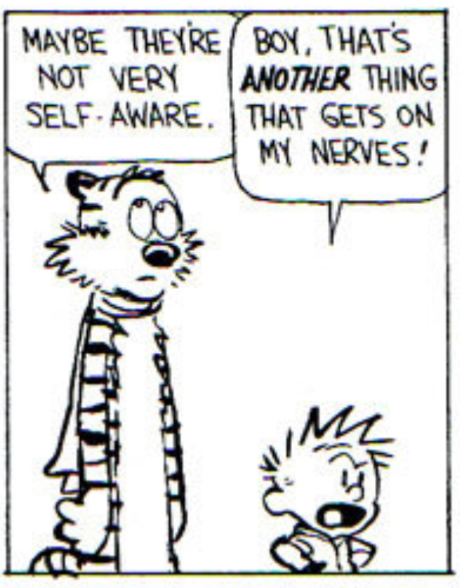 Calvin and Hobbes panel. 

Hobbes (rolling his eyes): “Maybe they’re not very self-aware” 

Calvin (angrily): “Boy, that’s ANOTHER thing that gets on my nerves!”
